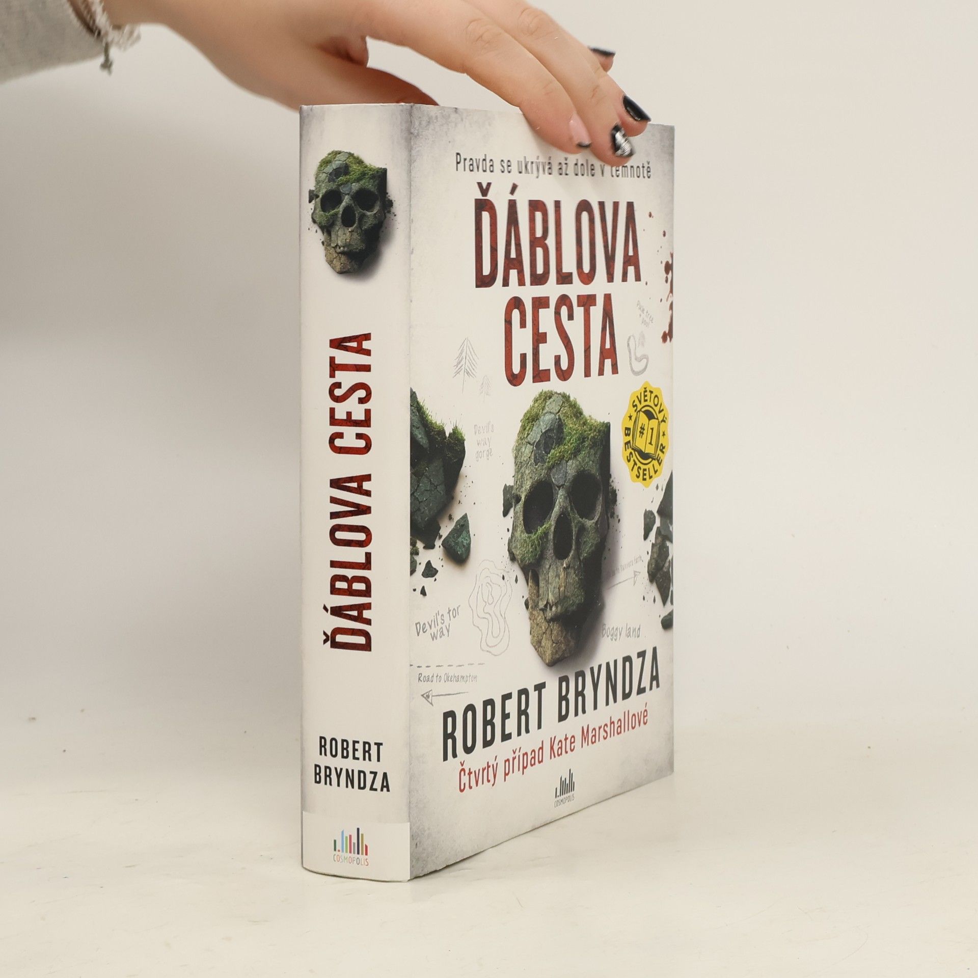 Robert Bryndza Ďáblova cesta