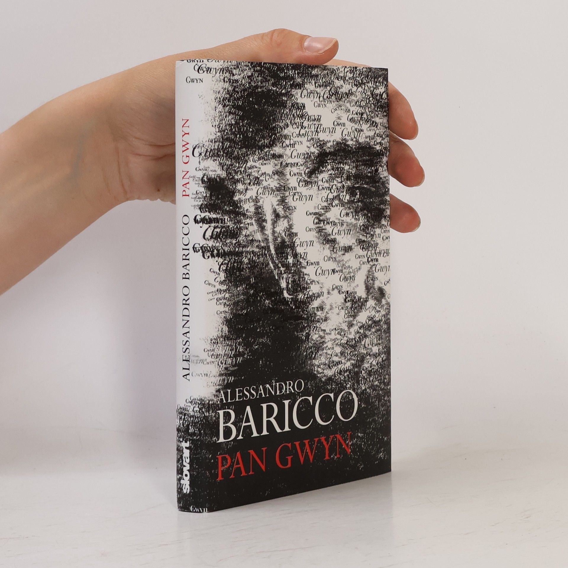 Alessandro Baricco Pan Gwyn