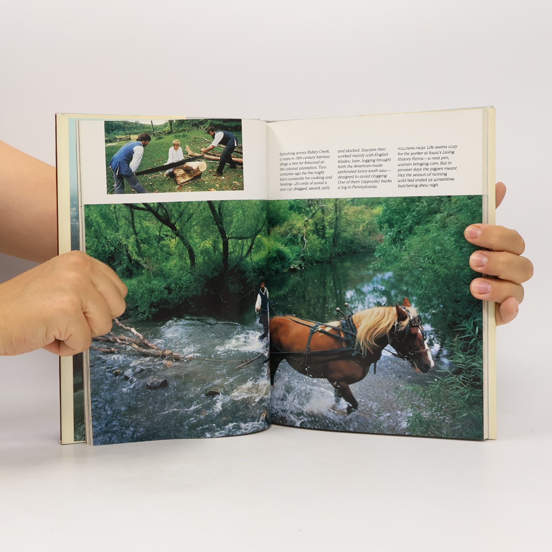 Various authors Preserving America's Past