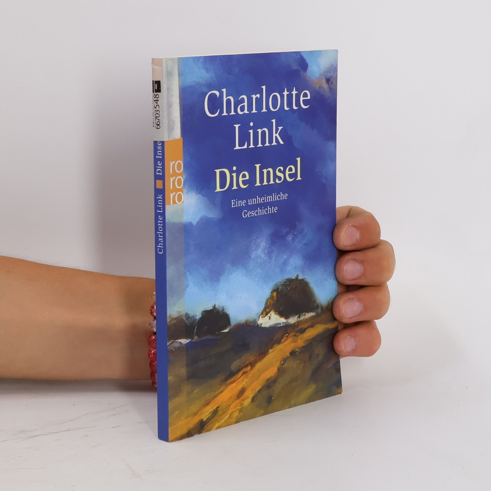 Charlotte Link Die Insel