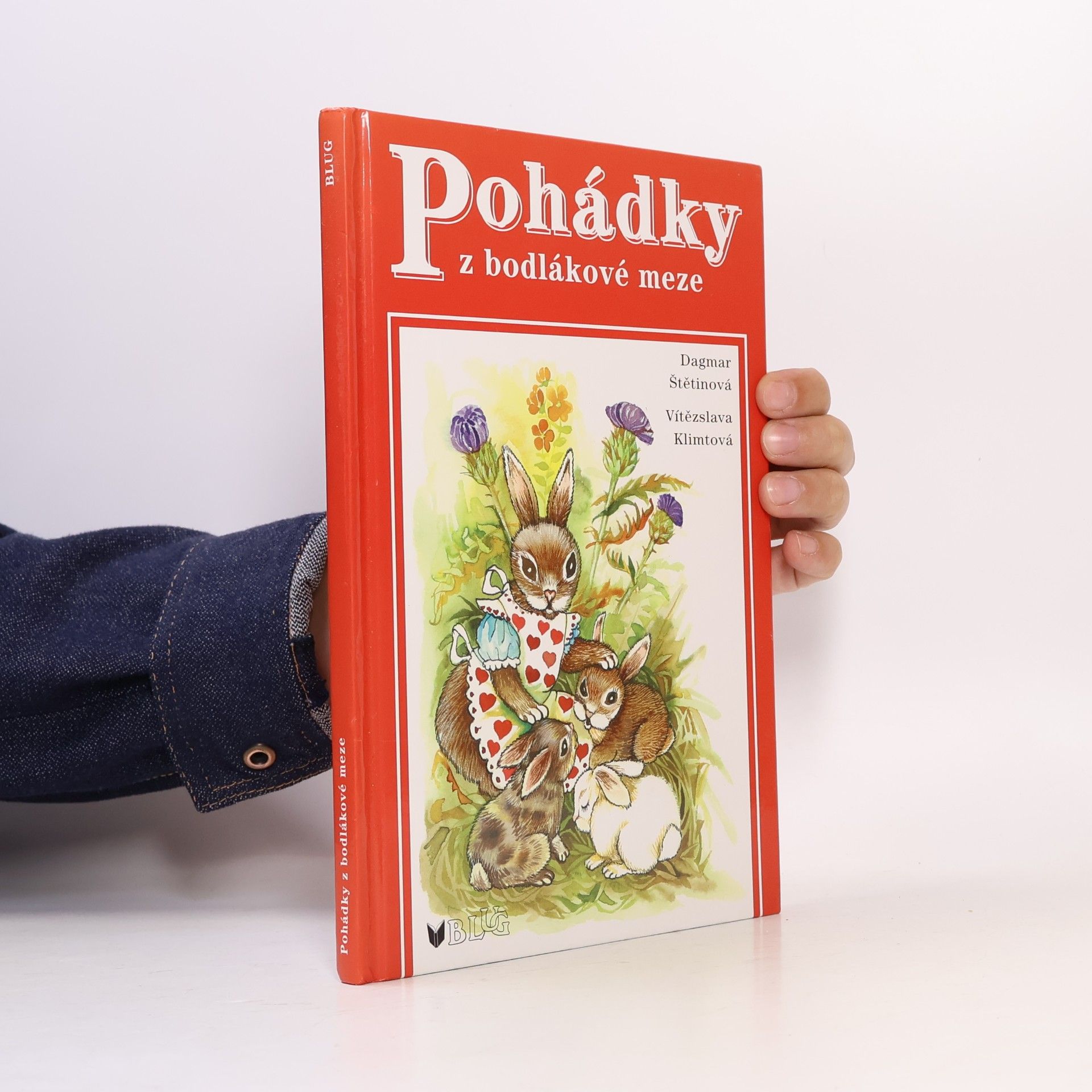 Dagmar Štětinová Pohádky z bodlákové meze