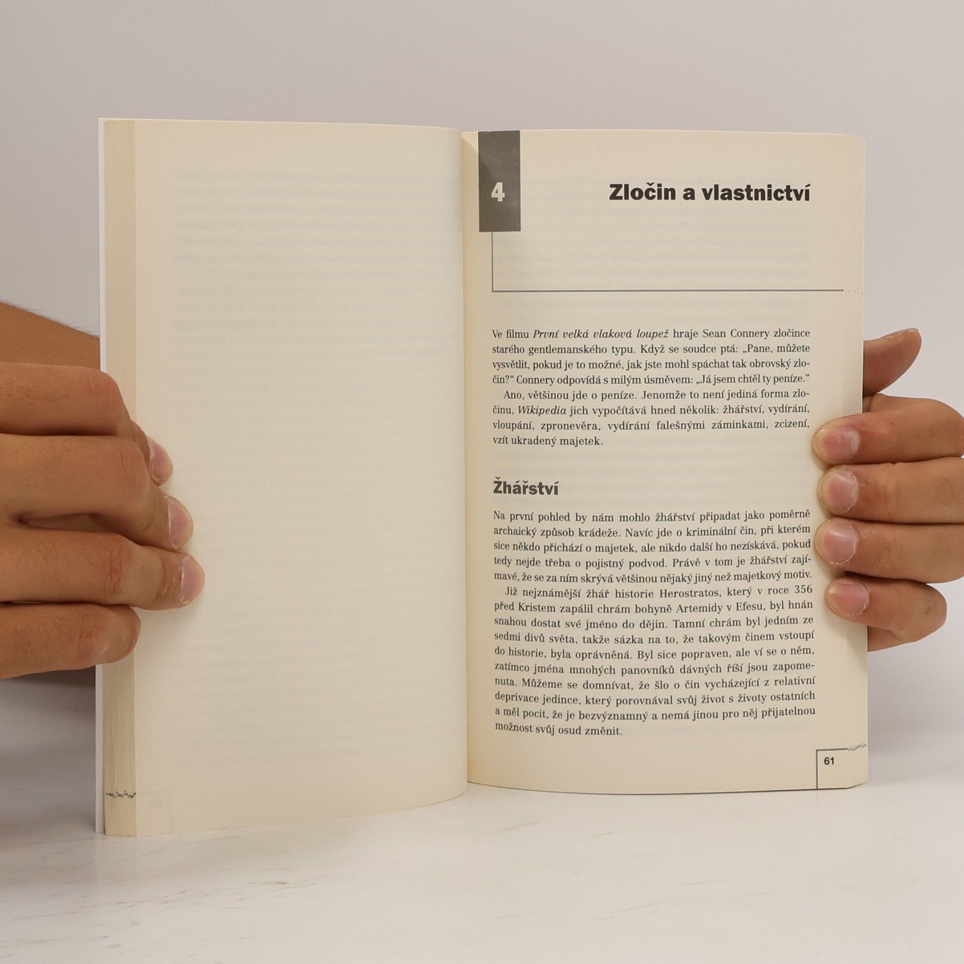 Jan Jandourek Sociologie zločinu