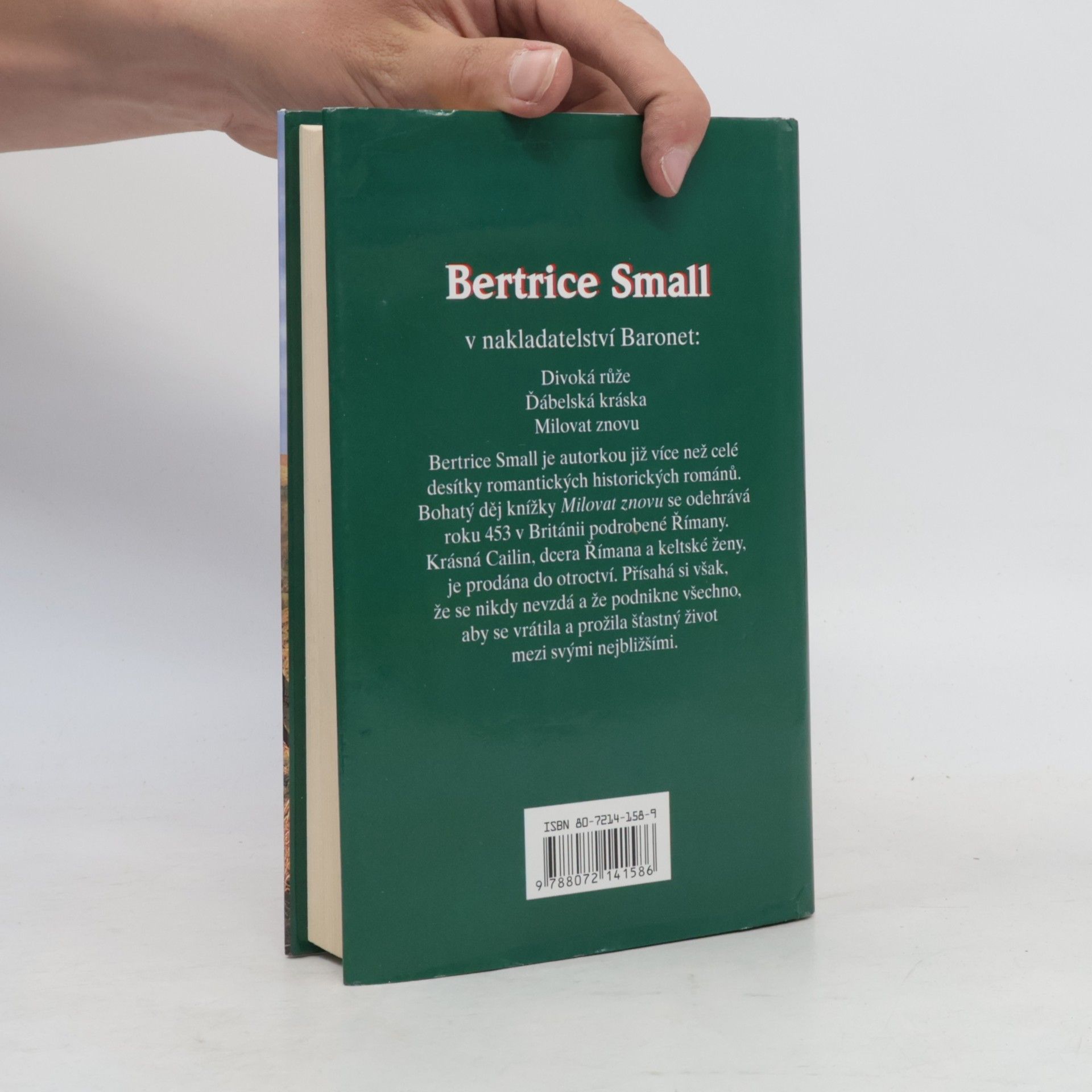 Bertrice Small Milovat znovu