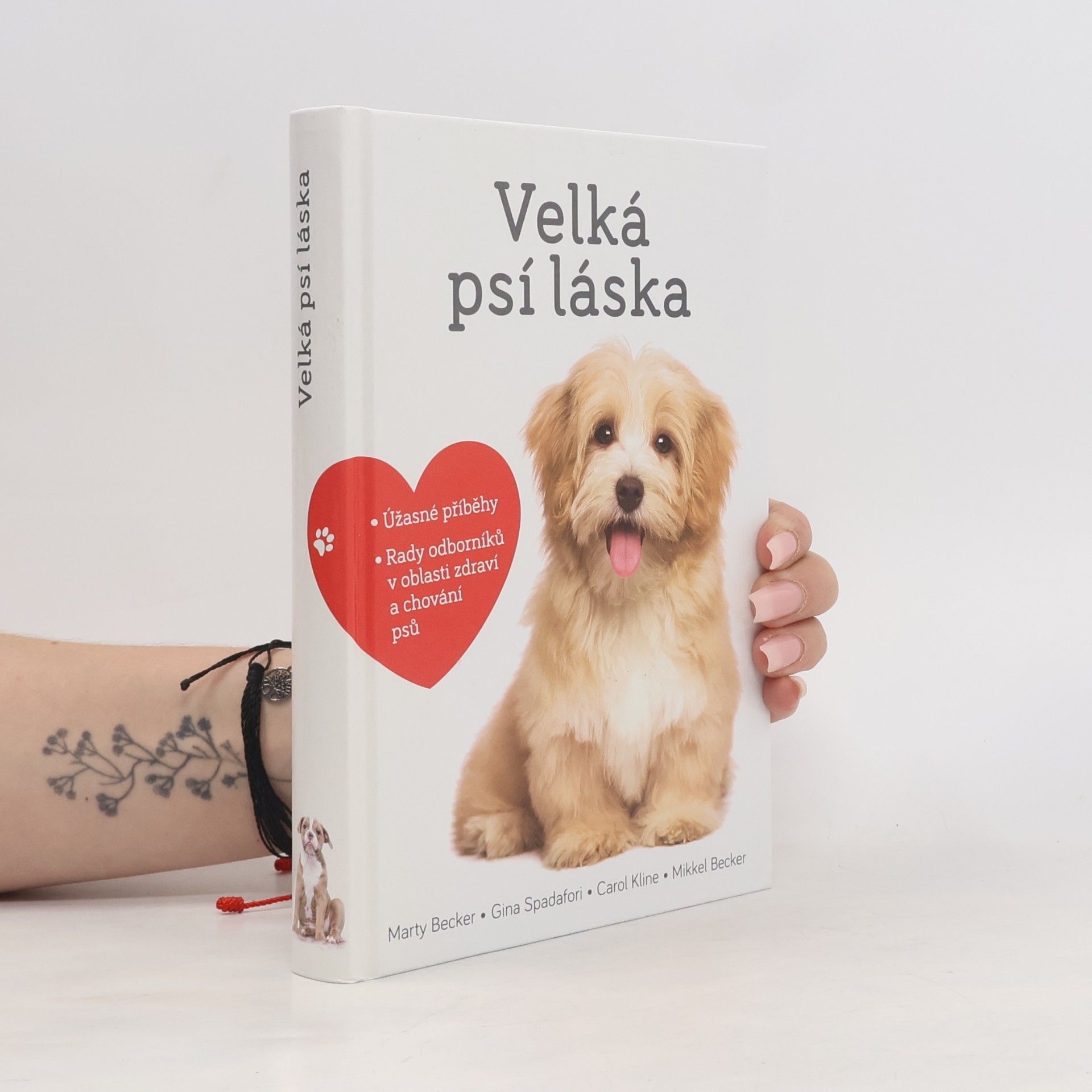 Velká psí láska: Příběhy, rady a úžasné fotografie psích bytostí