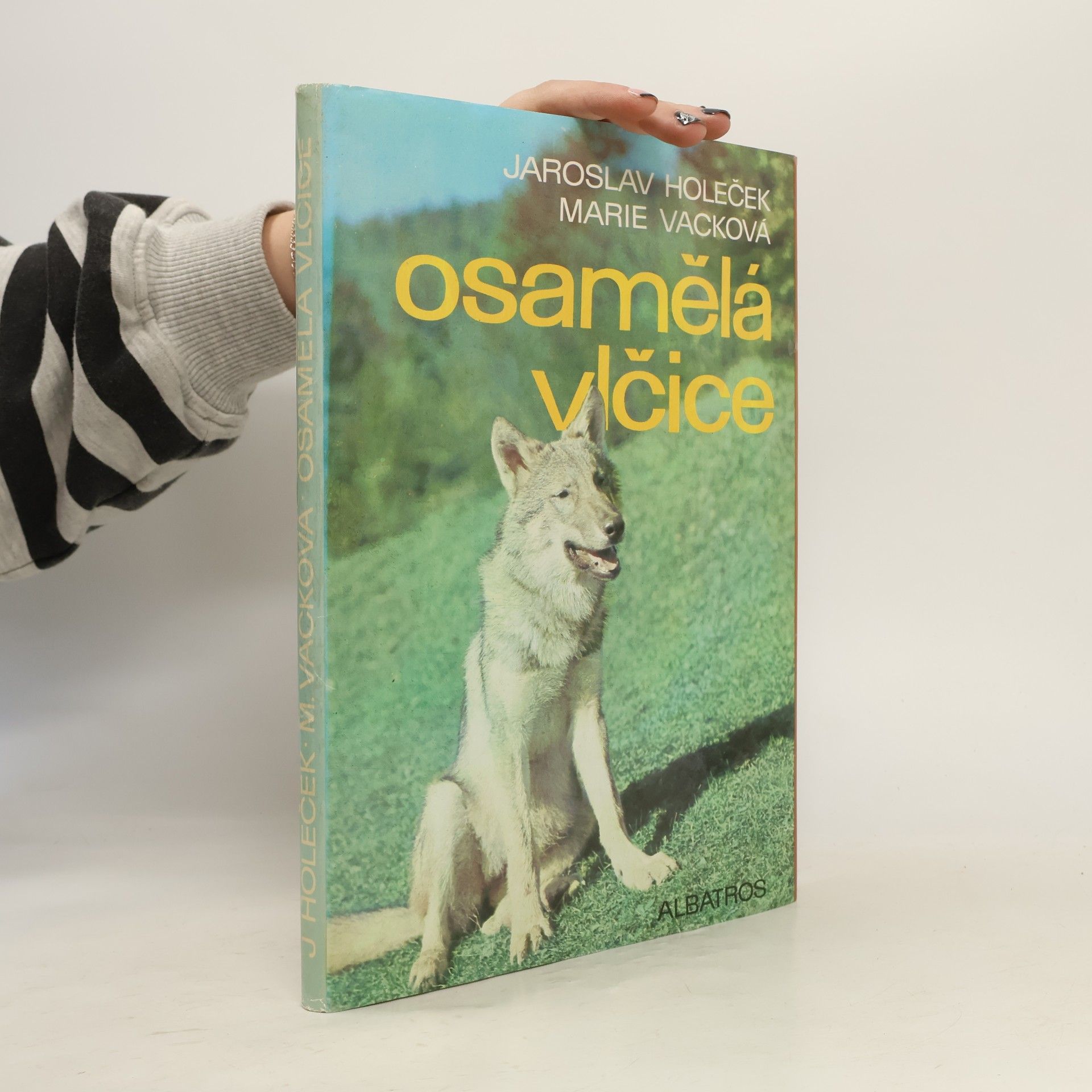 Jaroslav Holeček Osamělá vlčice
