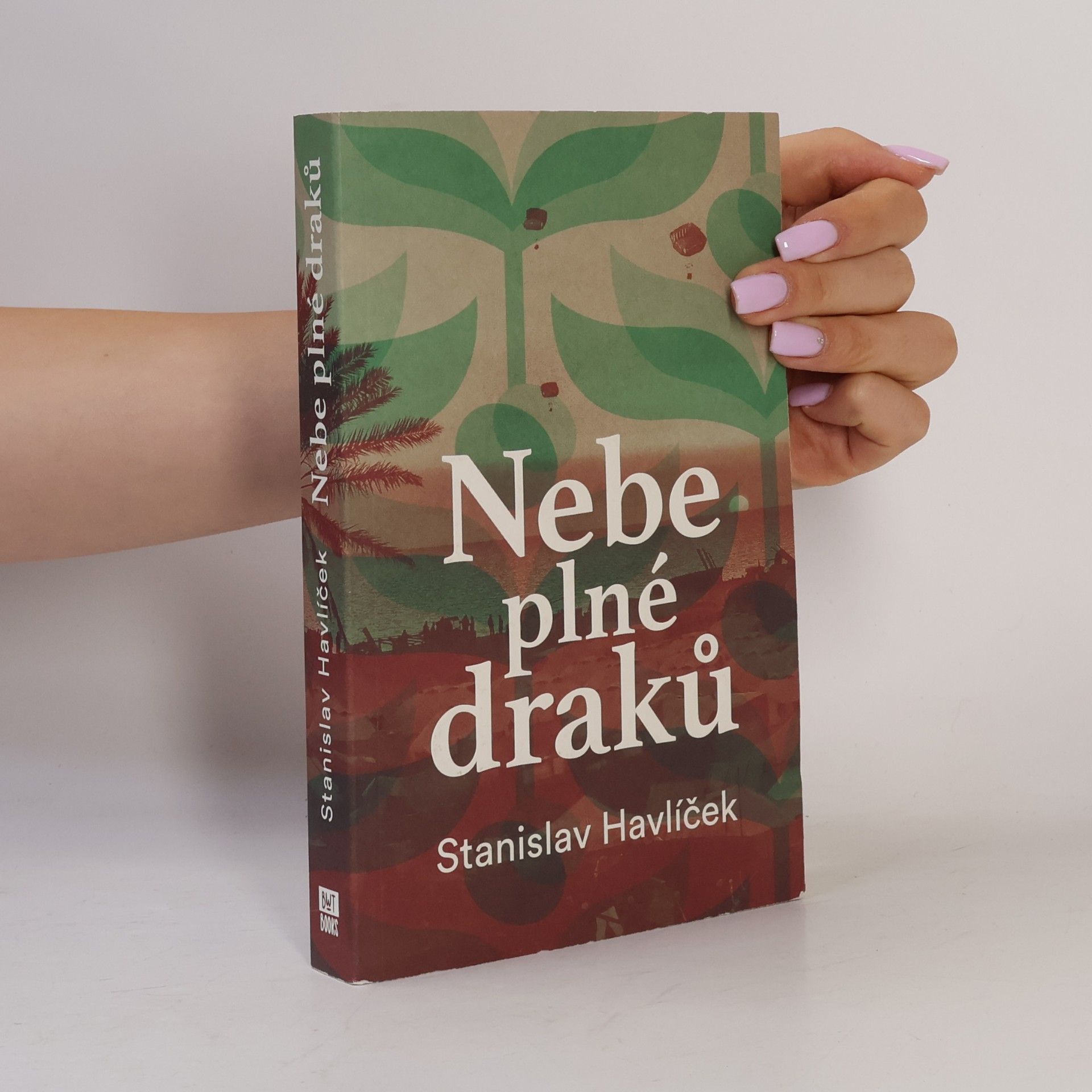 Stanislav Havlíček Nebe plné draků
