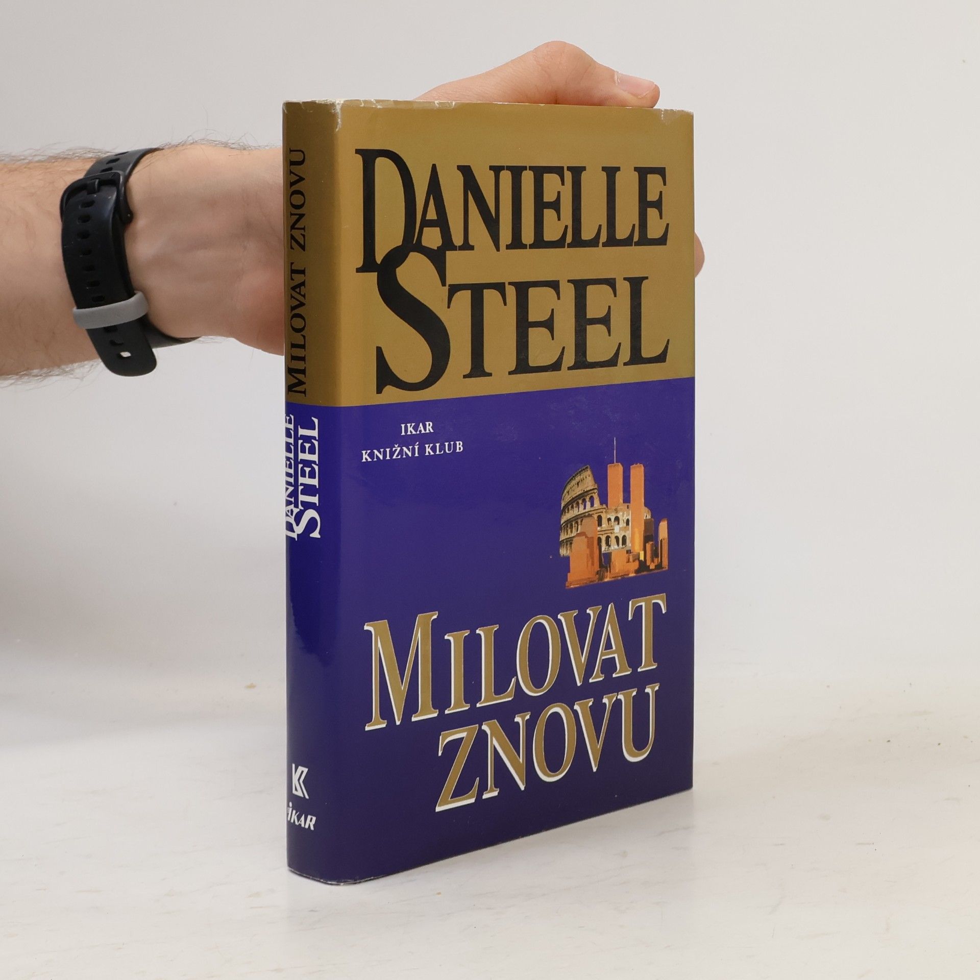 Danielle Steel Milovat znovu
