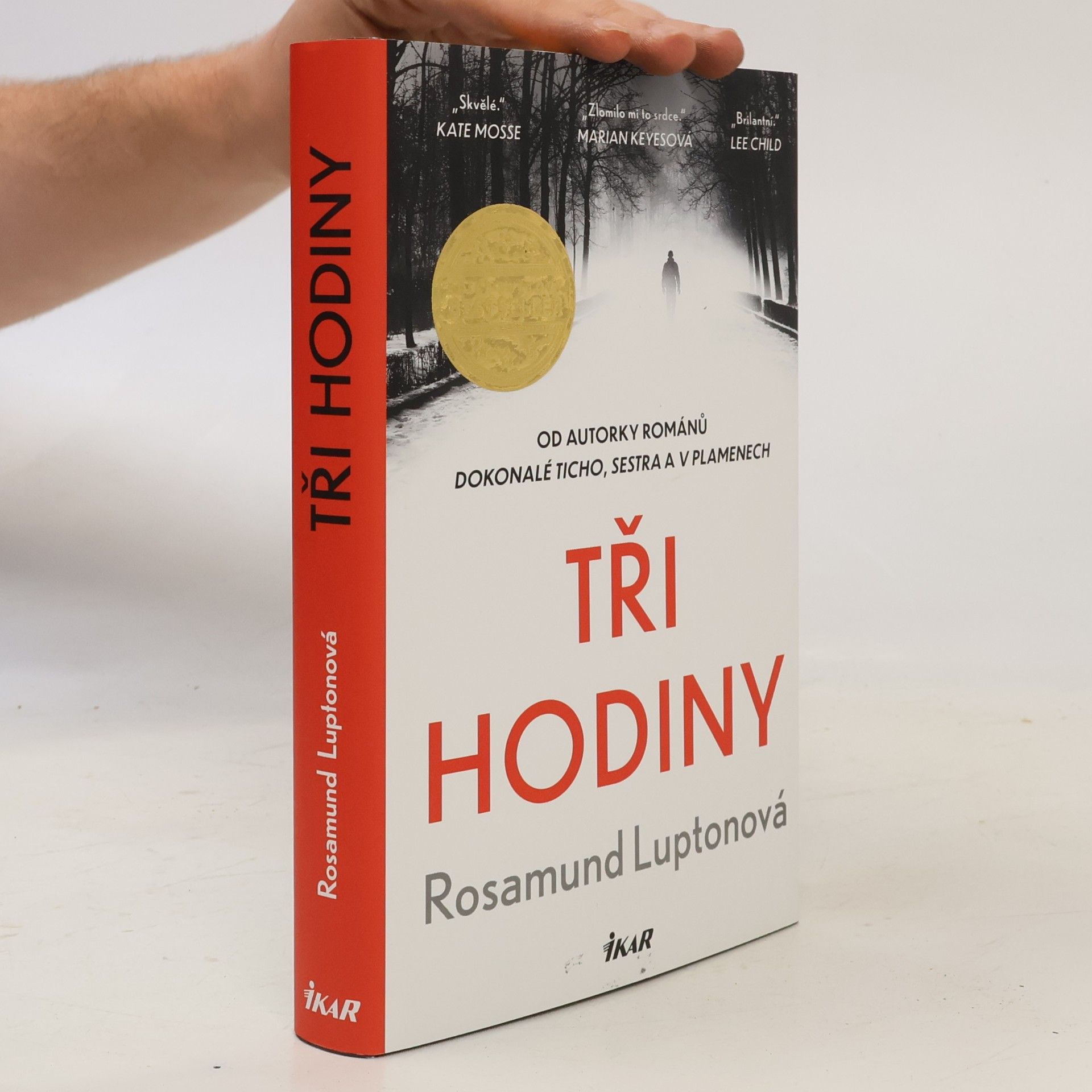 Rosamund Lupton Tři hodiny