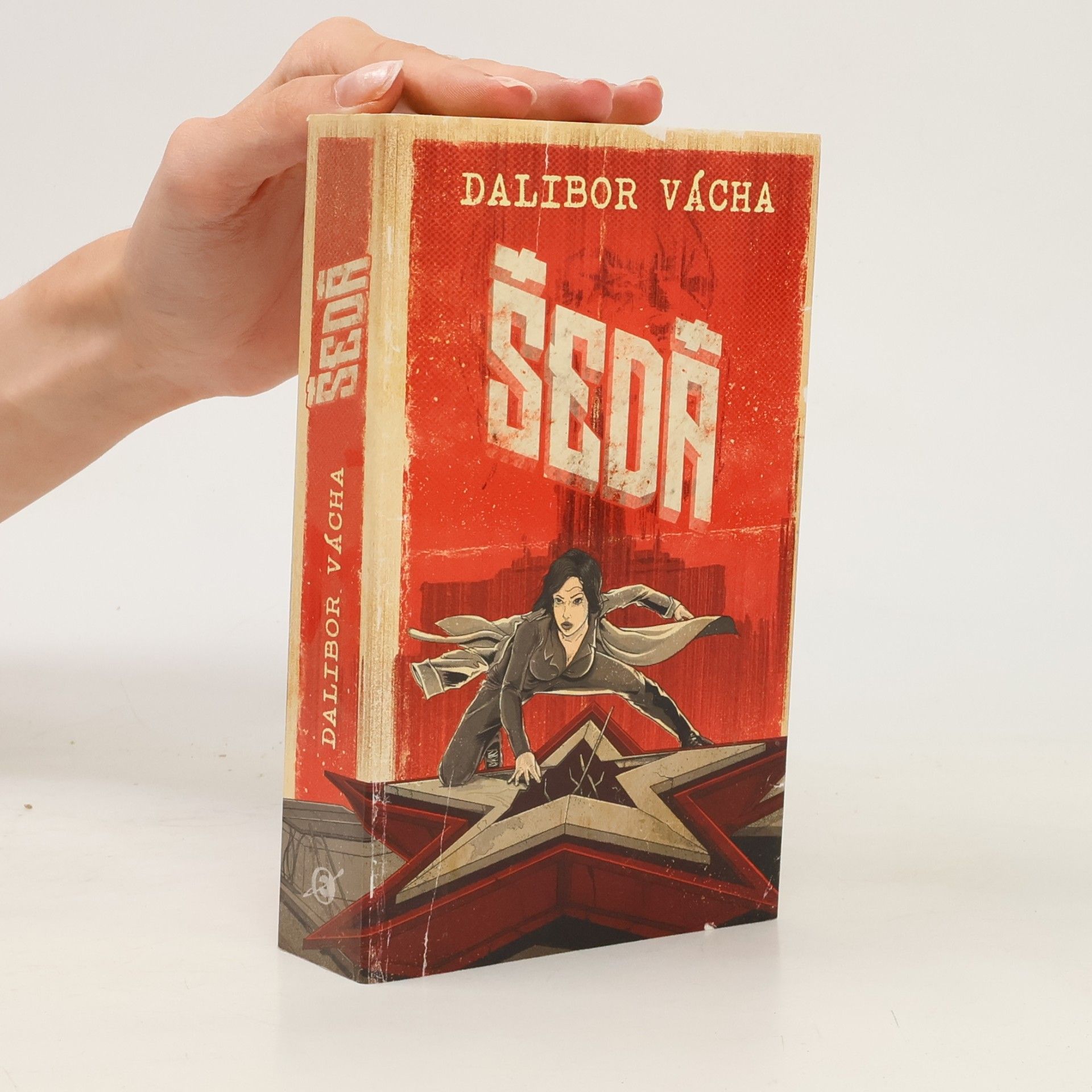 Dalibor Vácha Šedá