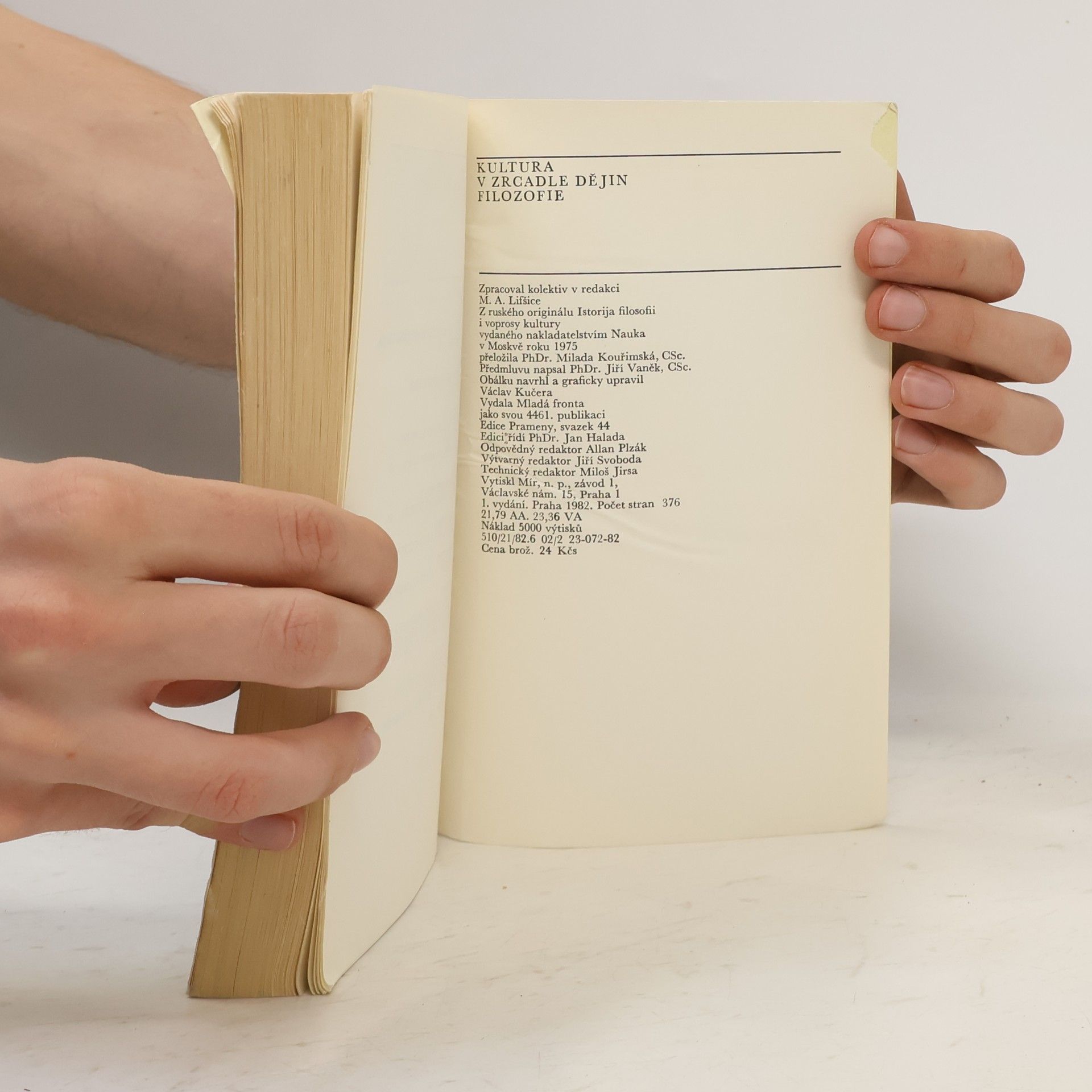 Various authors Kultura v zrcadle dějin filozofie