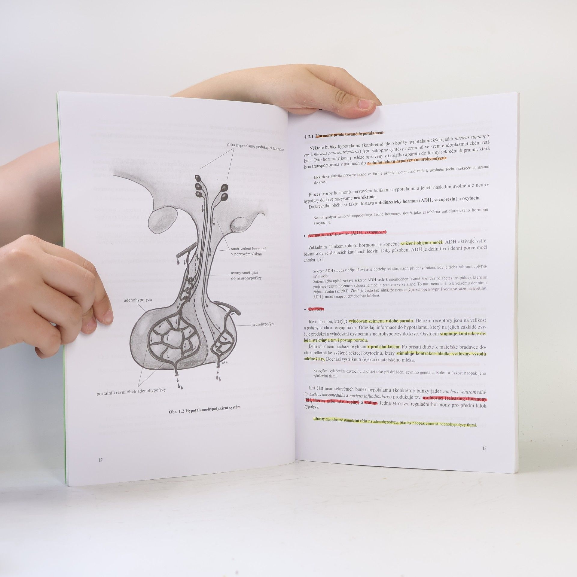Martin Kaláb Základy anatomie a fyziologie pro studenty humanitních oborů III