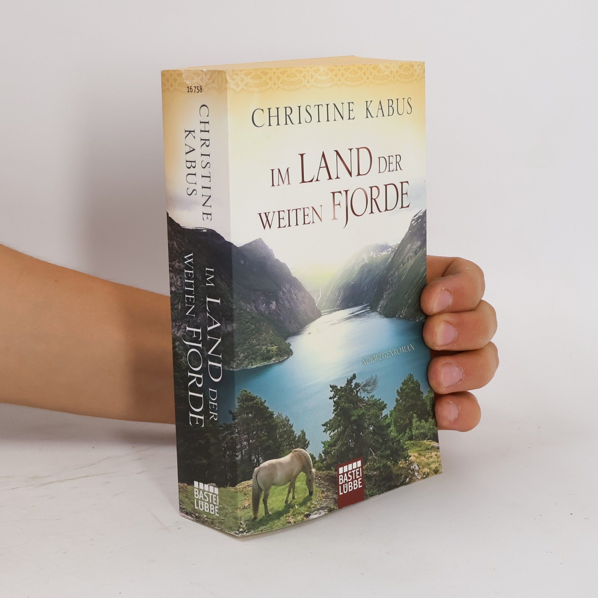 Christine Kabus Im Land der weiten Fjorde