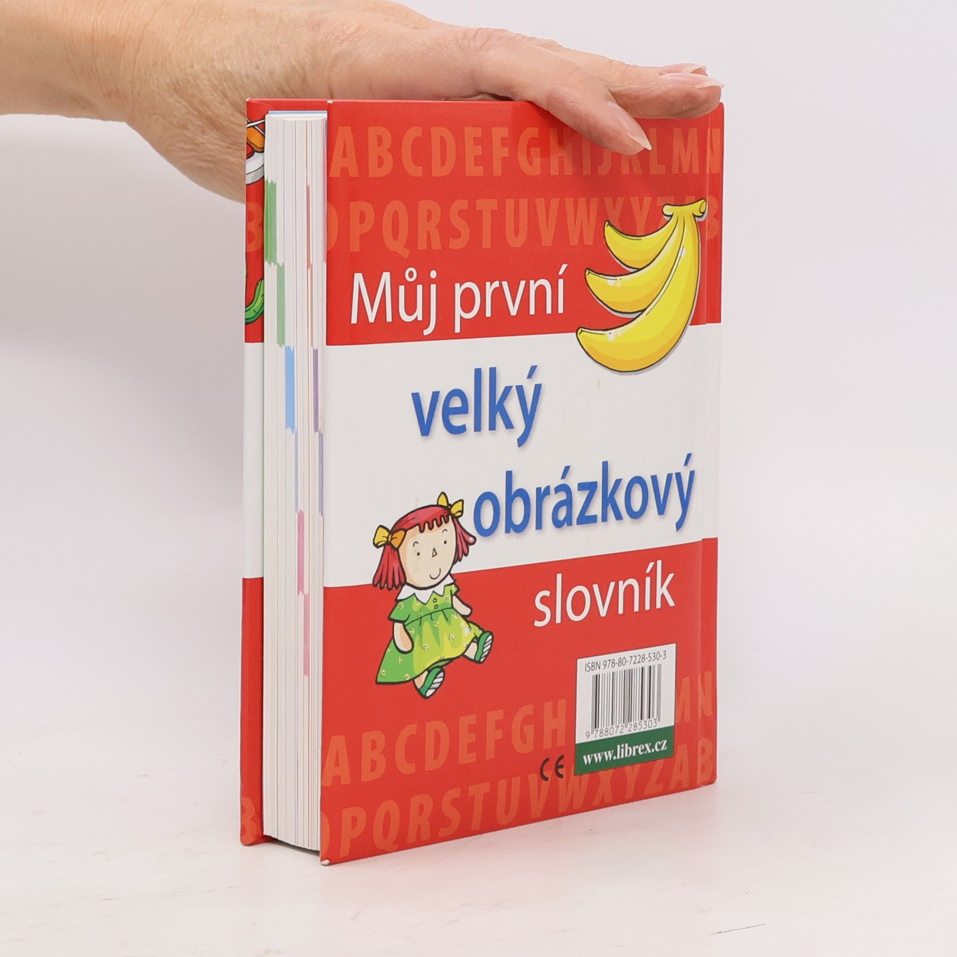Kolektiv autorů Můj první velký obrázkový slovník : [anglické výrazy s výslovností]
