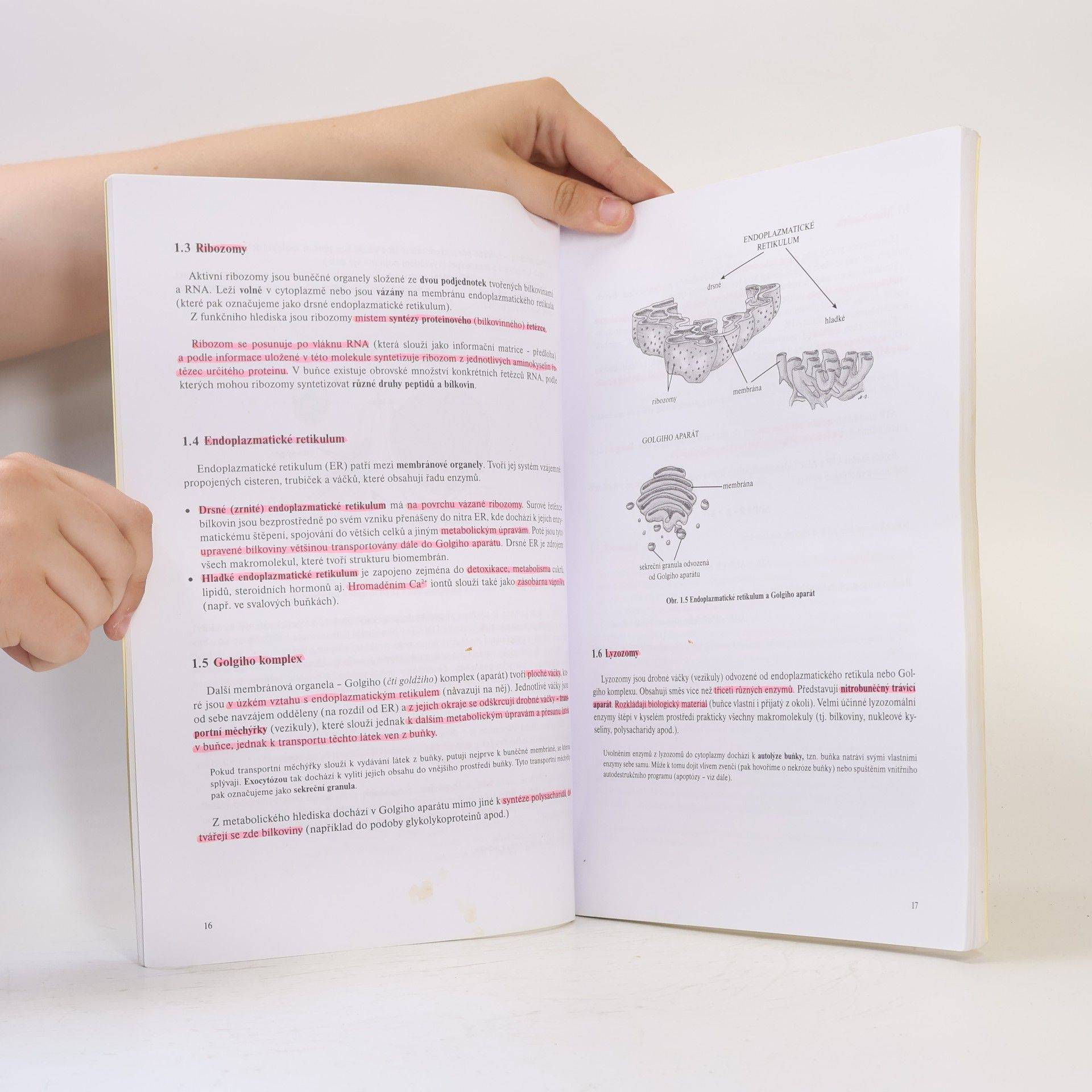 Martin Kaláb Základy anatomie a fyziologie pro studenty humanitních oborů I