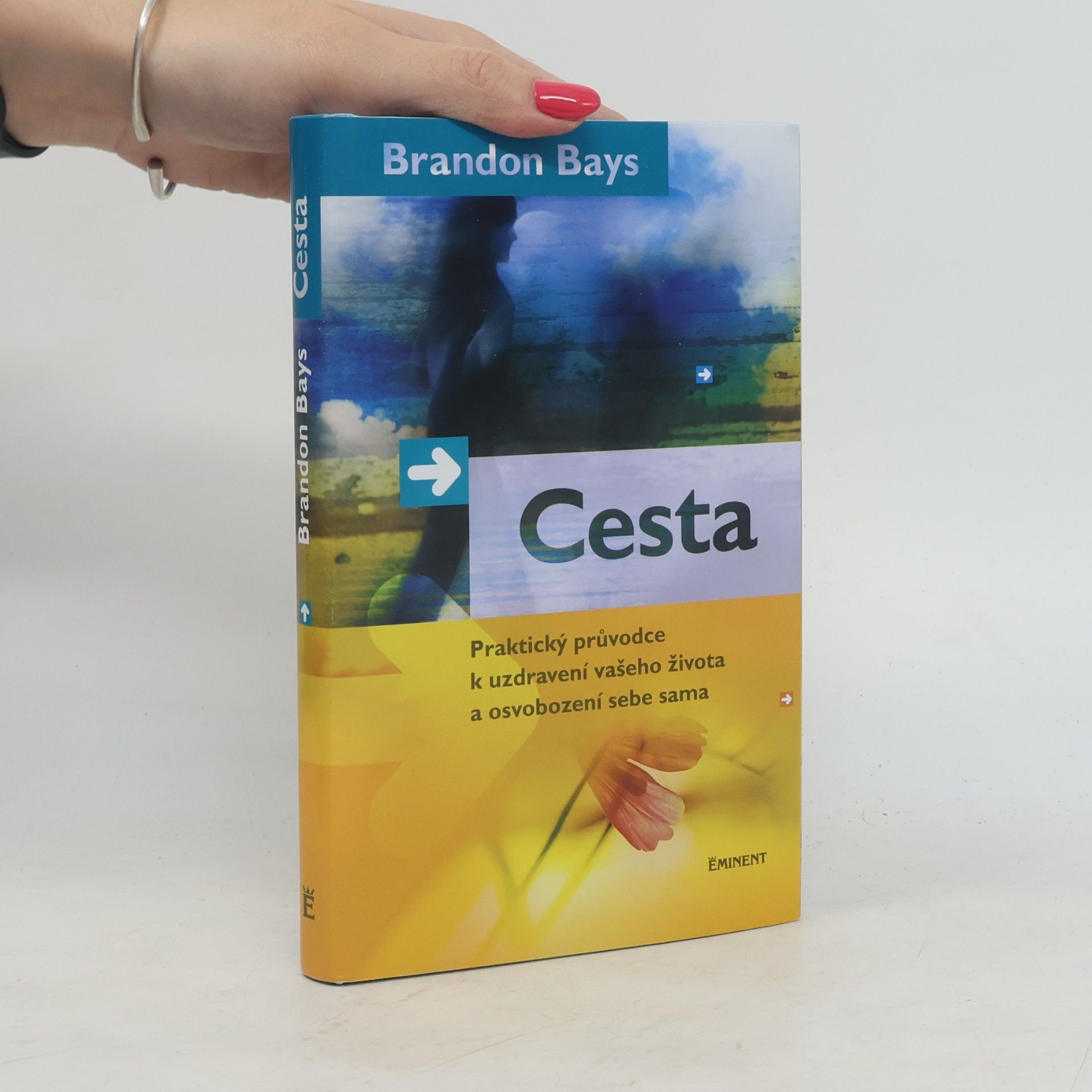 Brandon Bays Cesta
