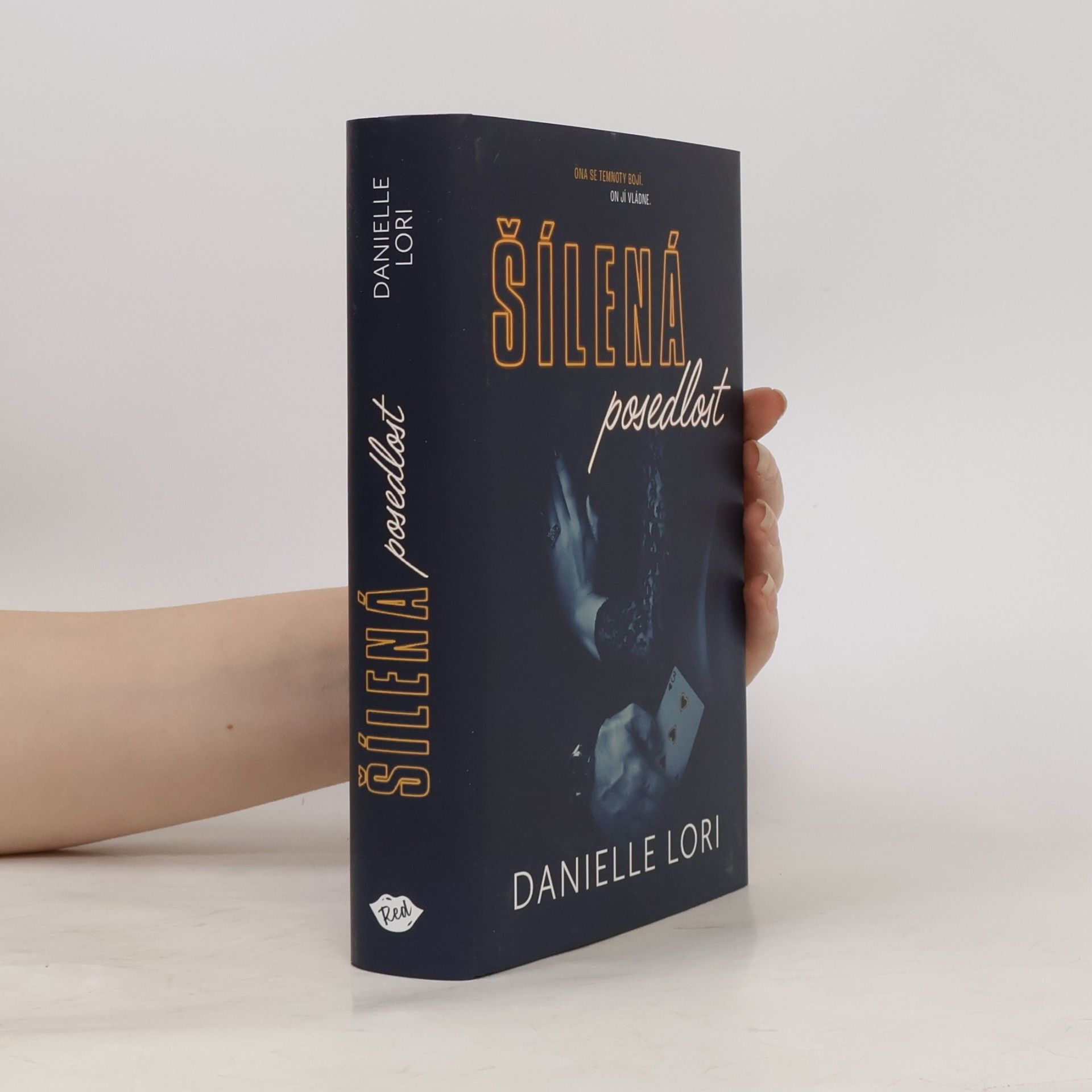 Danielle Lori Šílená posedlost