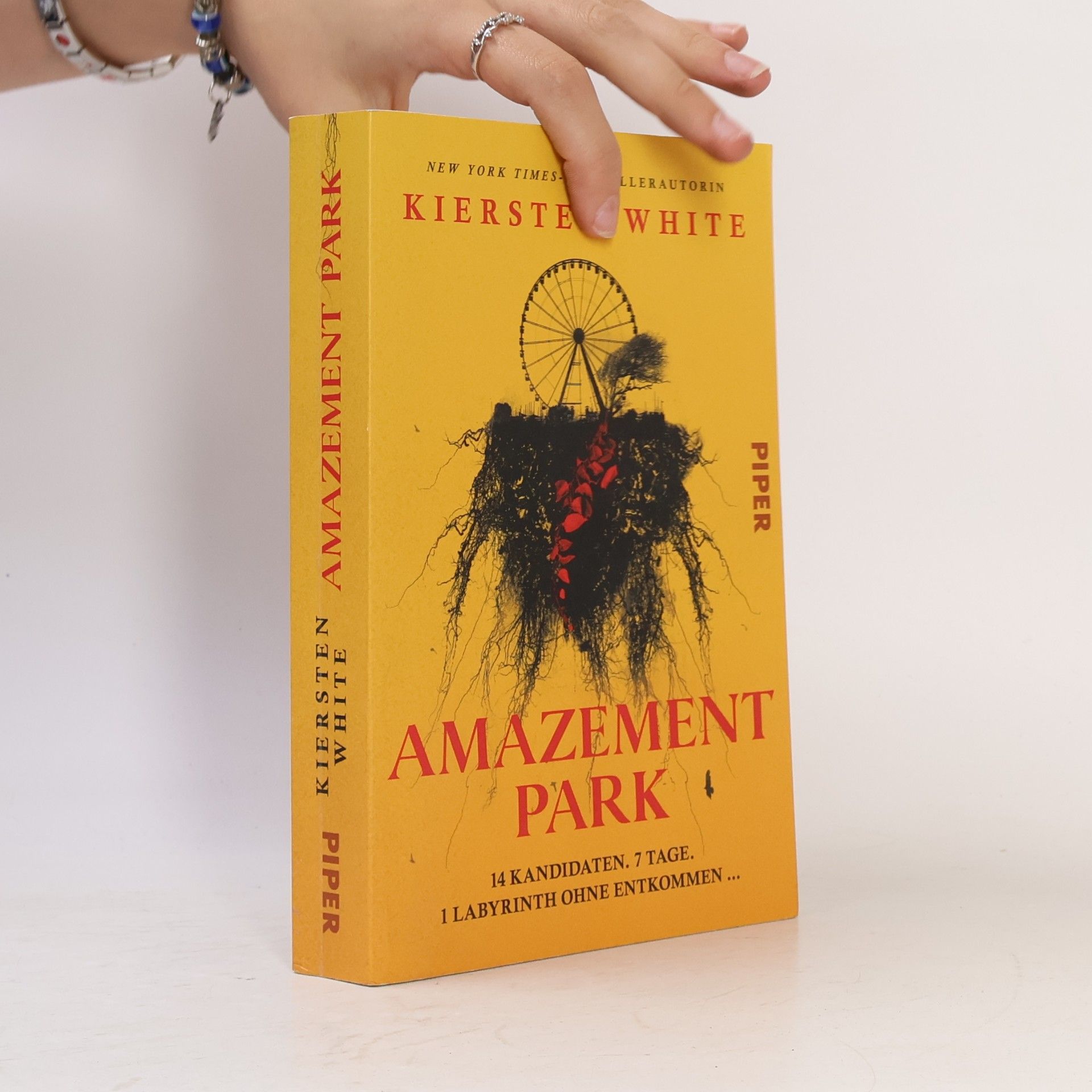 Kiersten White Amazement Park