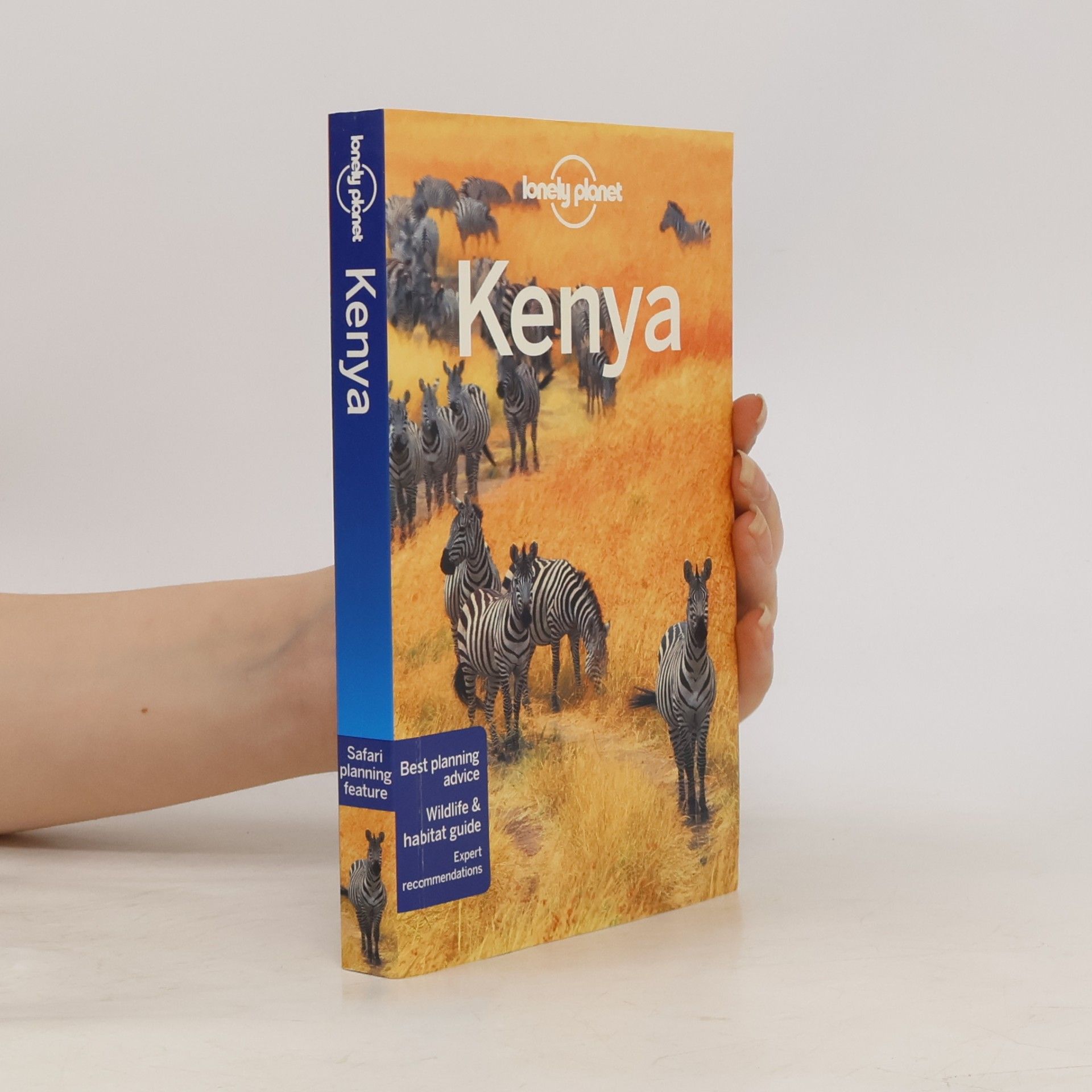 Anthony Ham Kenya