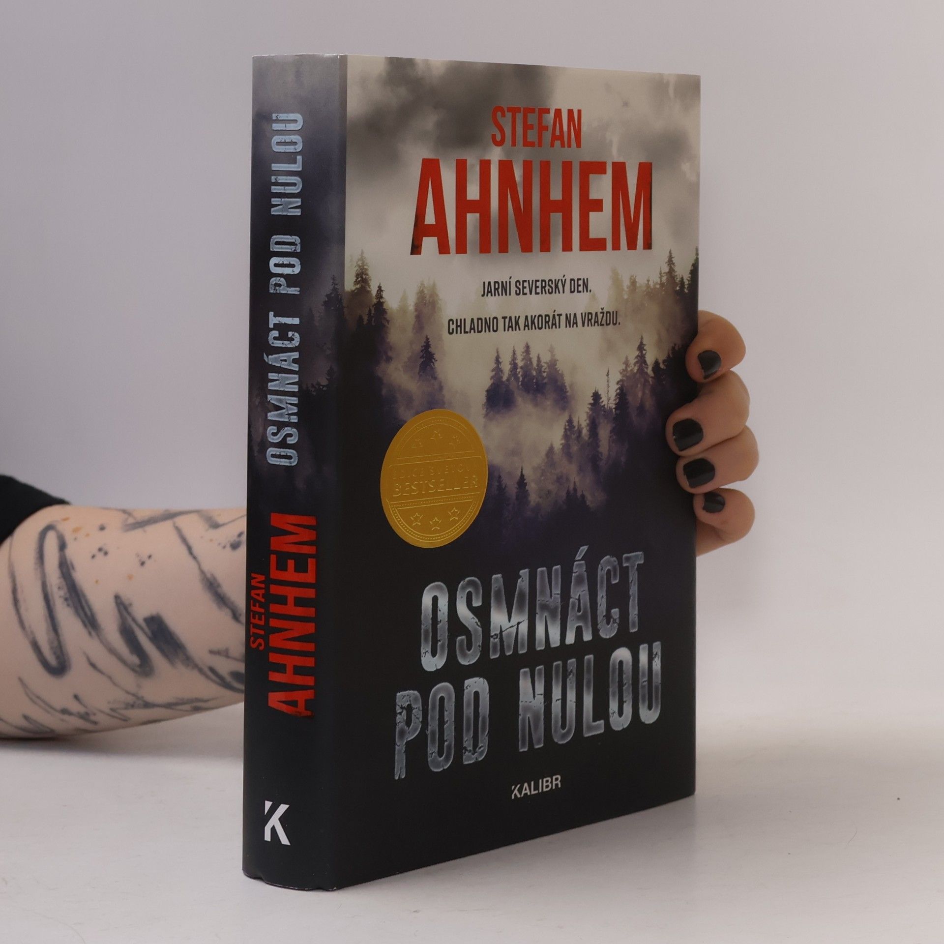 Stefan Ahnhem Osmnáct pod nulou
