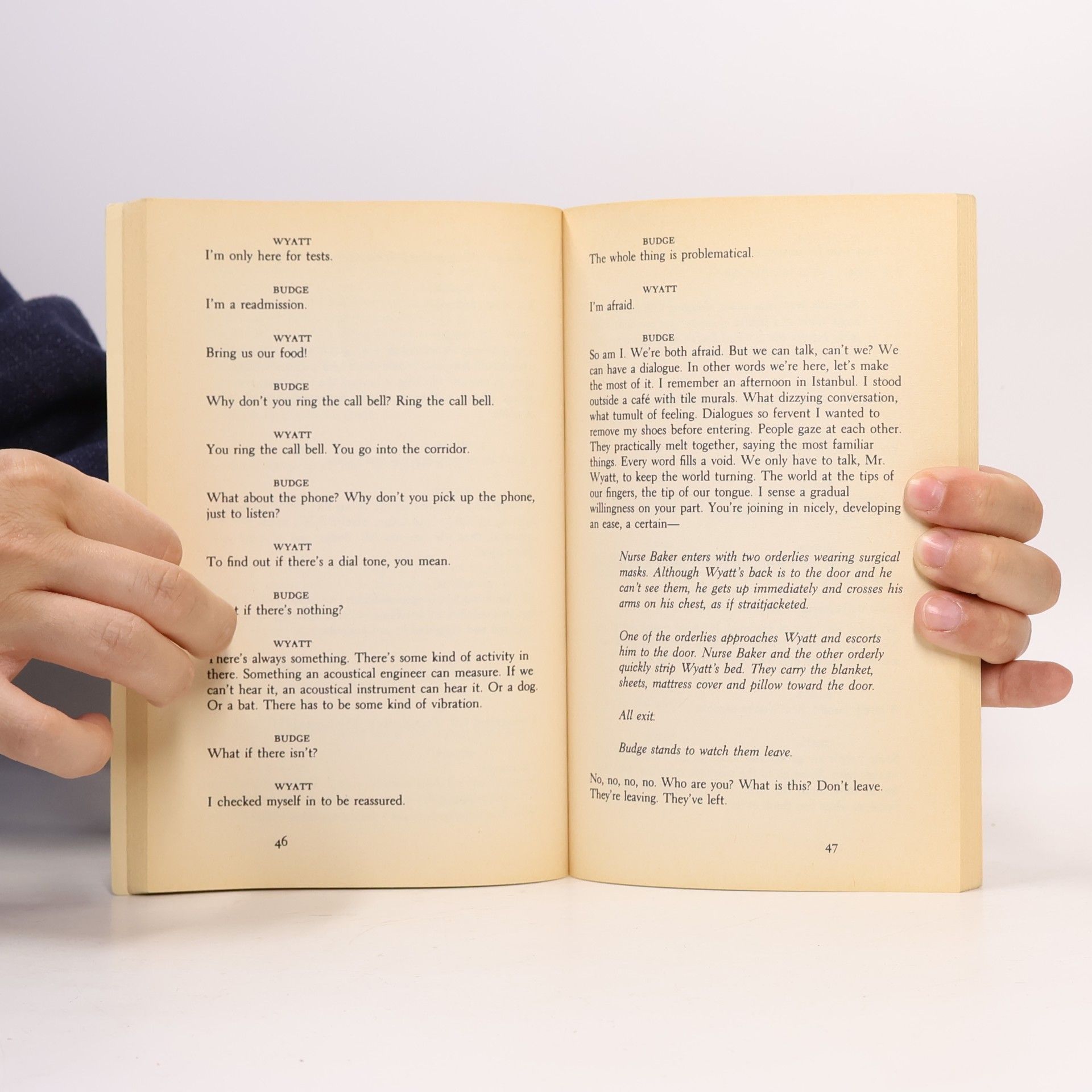 Don DeLillo Penguin Plays: The Day Room