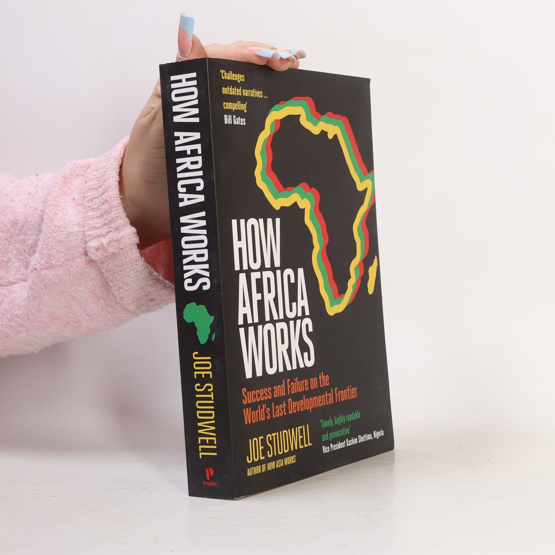 How Africa Works: Success and Failure on the World's Last Developmental Frontier