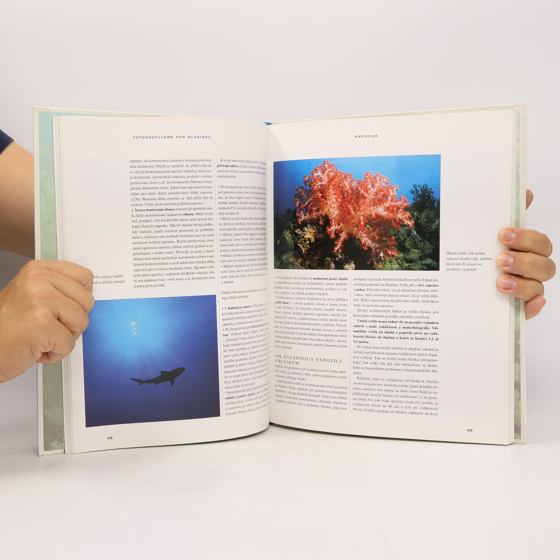 Annemarie Köhler Fotografujeme pod hladinou