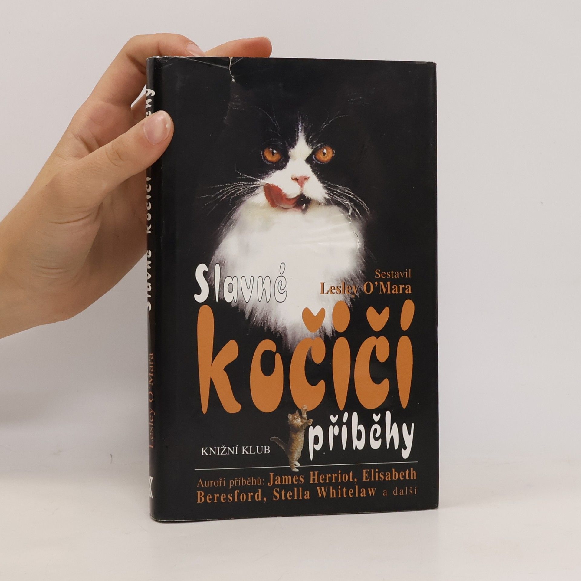 Lesley OMara Slavné kočičí příběhy