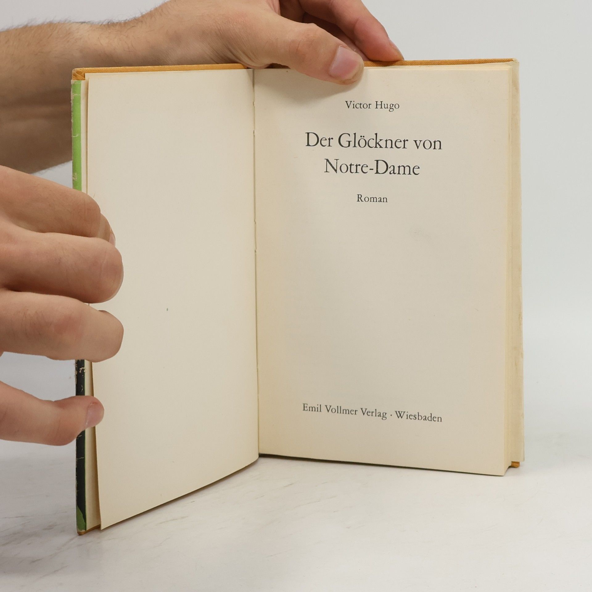 Victor Hugo Der Glöckner von Notre-Dame