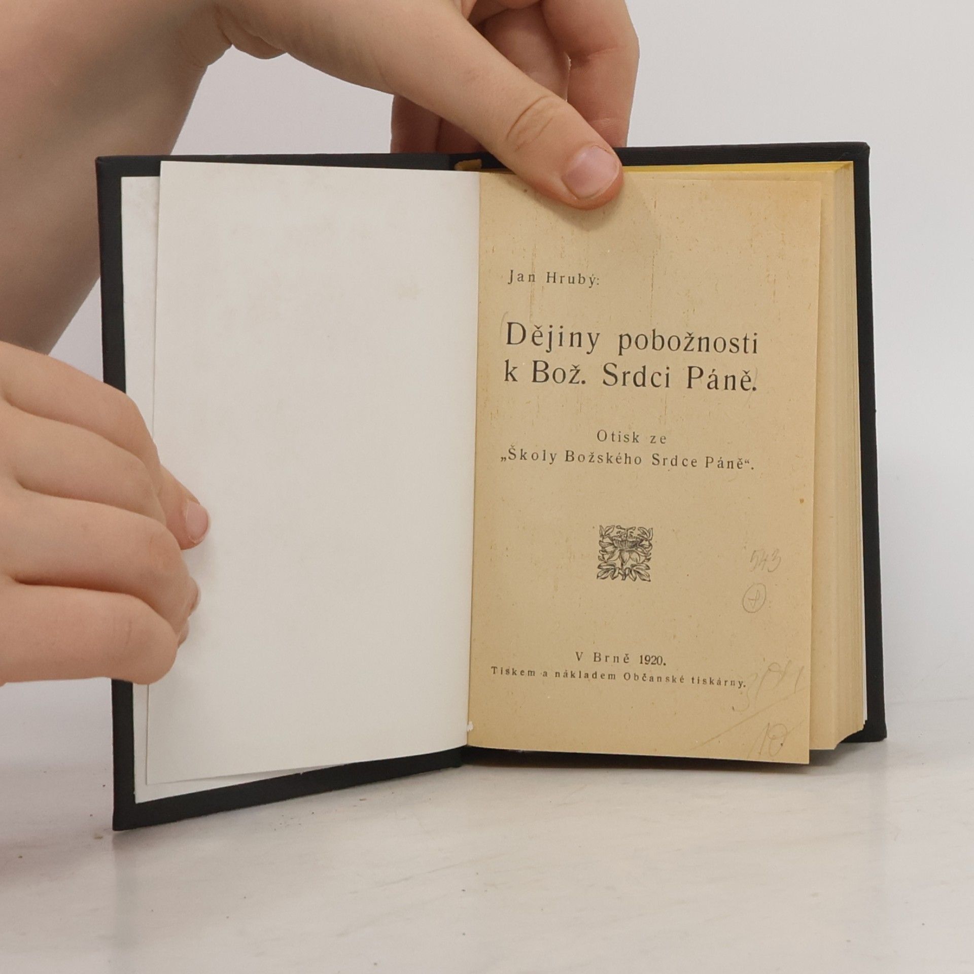 Jan Hrubý Dějiny pobožnosti k Božskému Srdci Páně