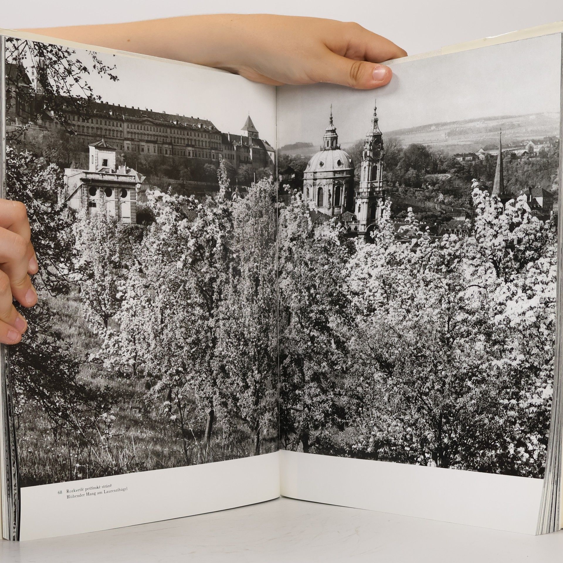 Karel Plicka Praha ve fotografii