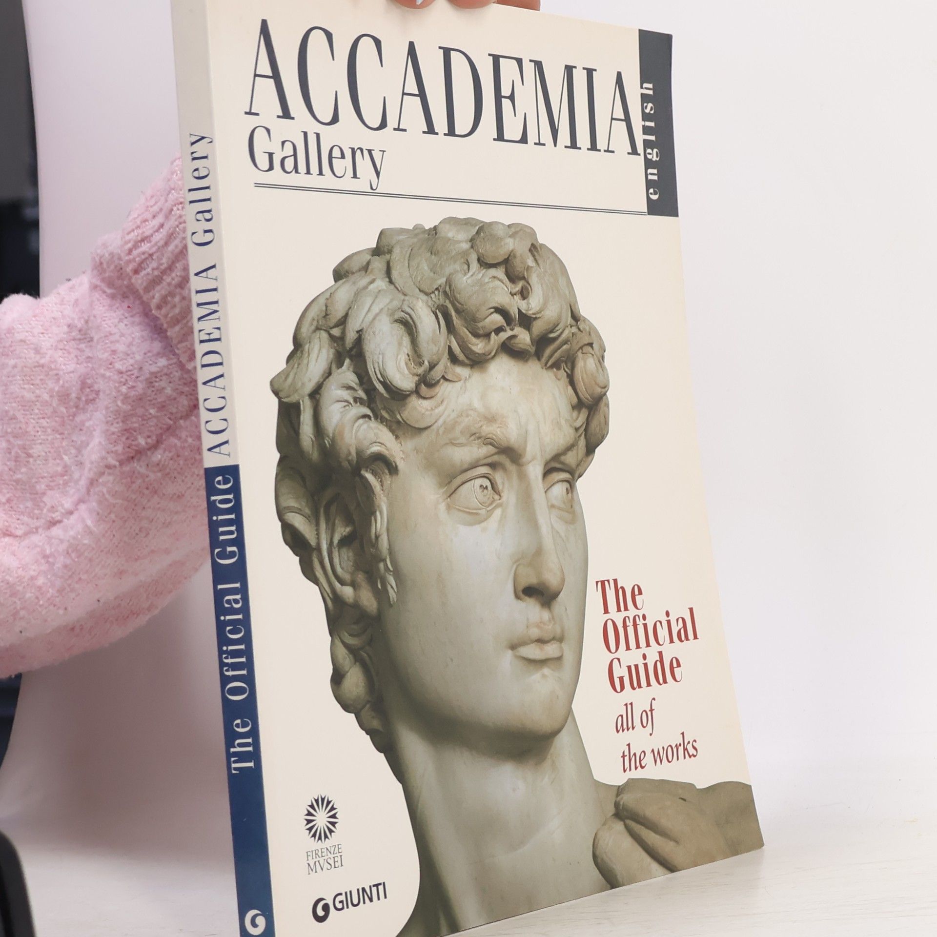 Franca Falletti Accademia Gallery. The Official Guide