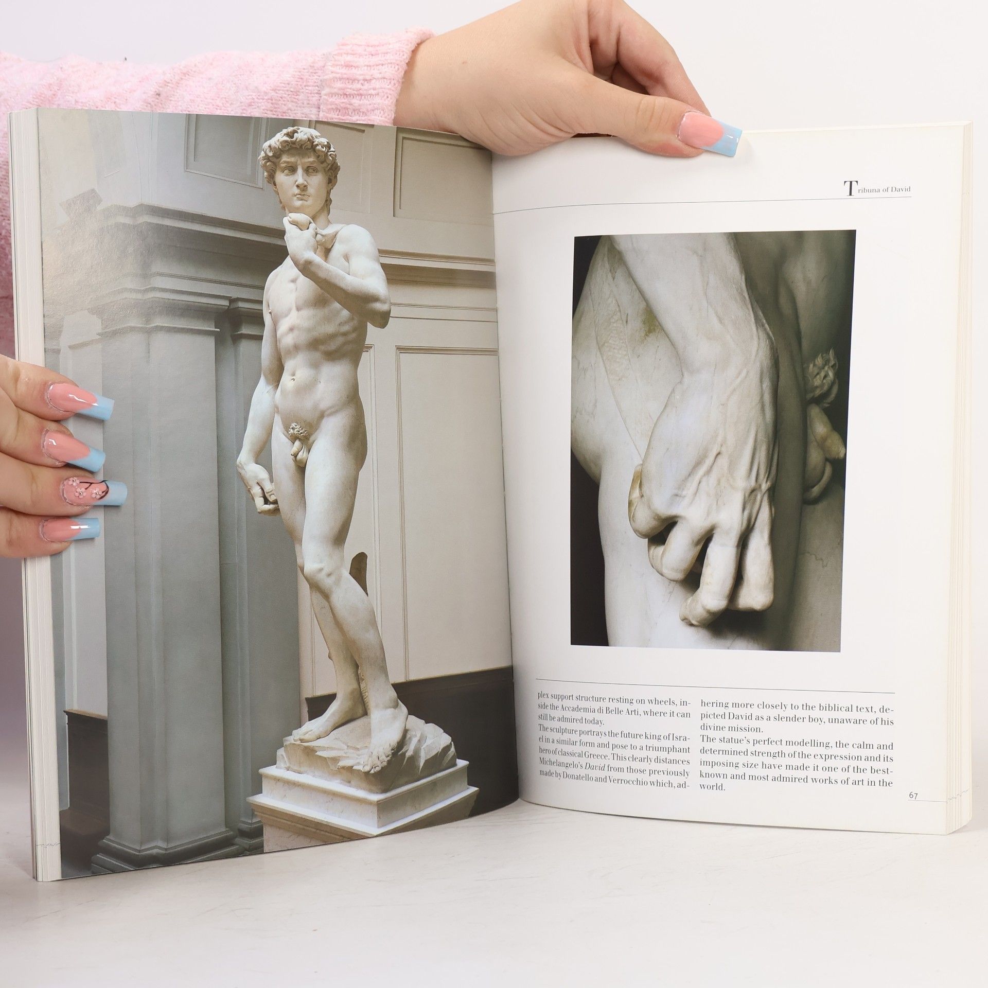 Franca Falletti Accademia Gallery. The Official Guide