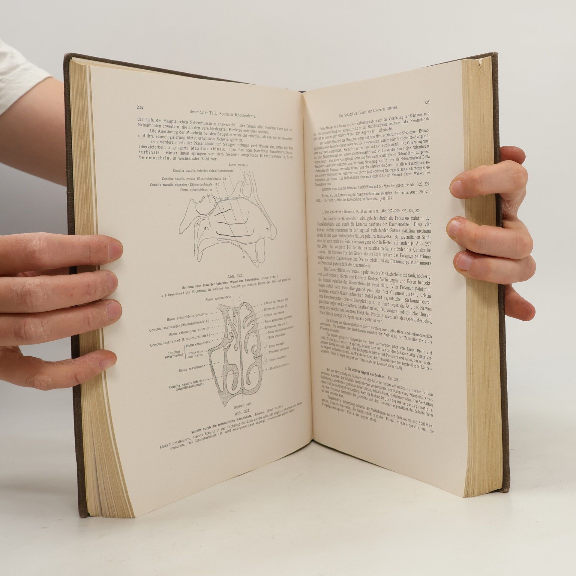 Friedrich Kopsch Lehrbuch und Atlas der Anatomie des Menschen (Band I)