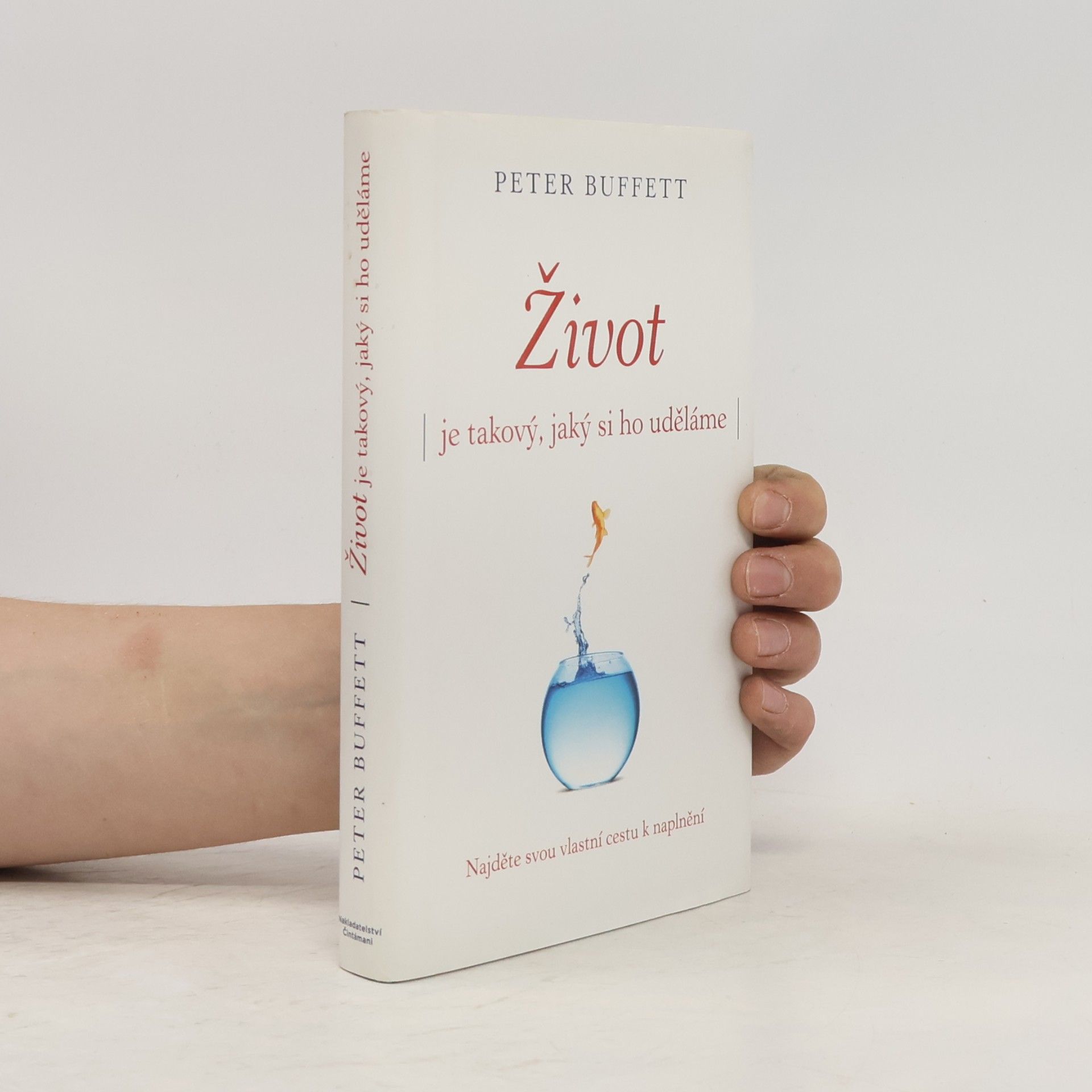 Peter Buffett Život je takový, jaký si ho uděláme