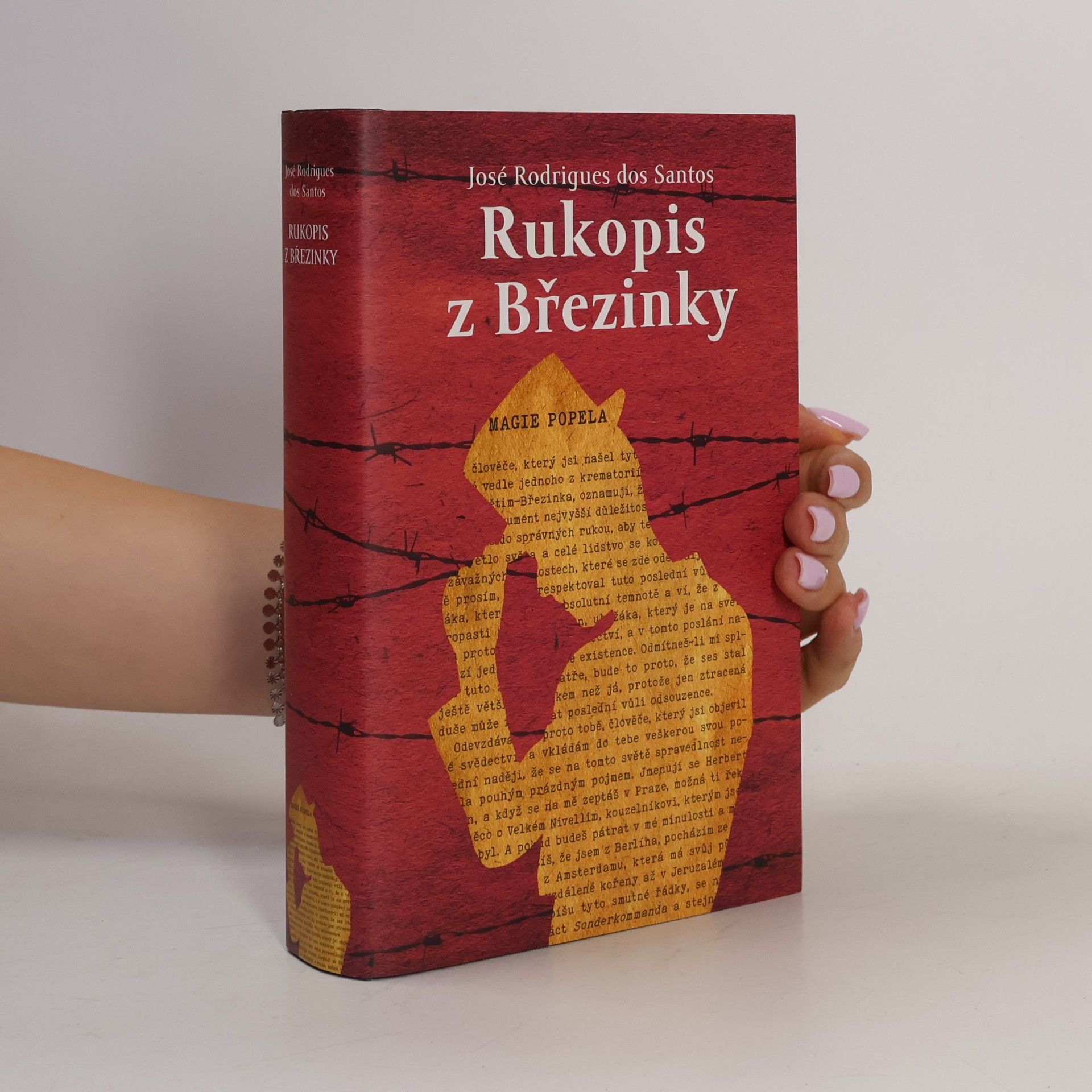 José Rodrigues dos Santos Rukopis z Březinky