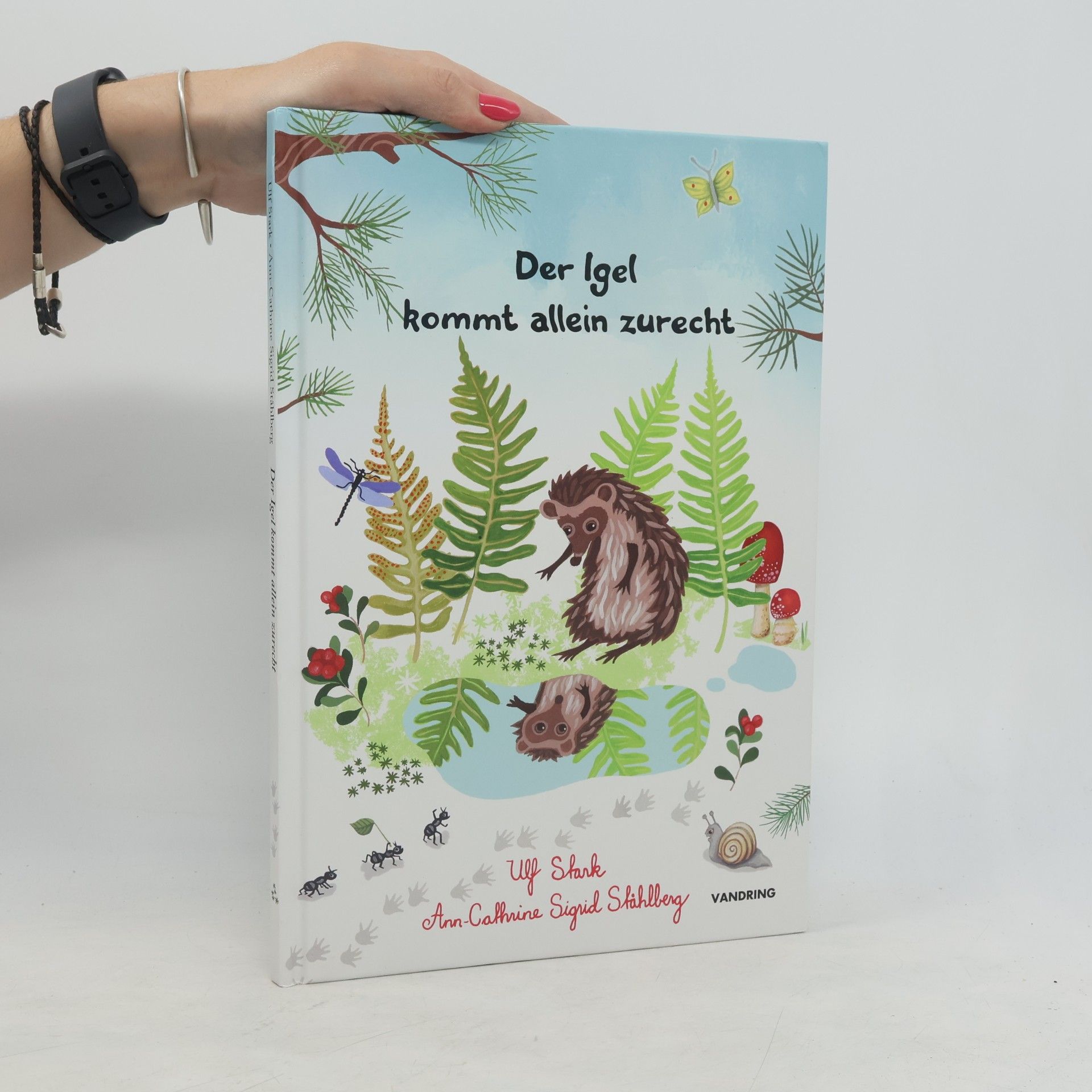 Autorenkollektiv Der Igel kommt allein zurecht