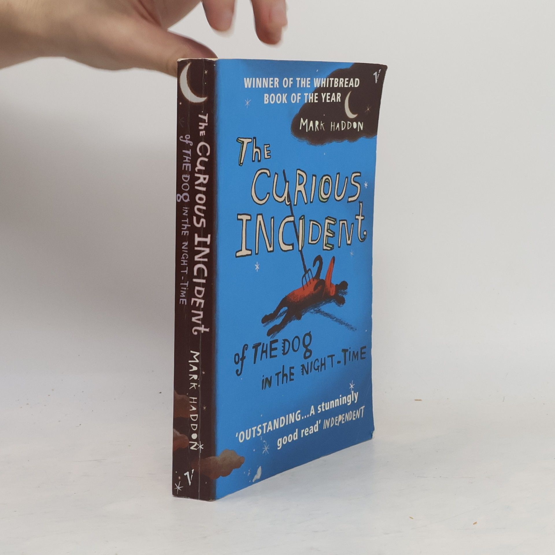 Mark Haddon The Curious Incident of the Dog in the Night-Time