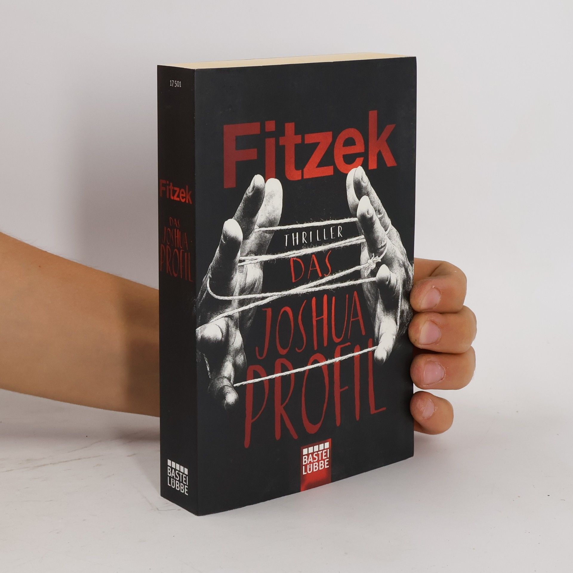 Sebastian Fitzek Das Joshua-Profil