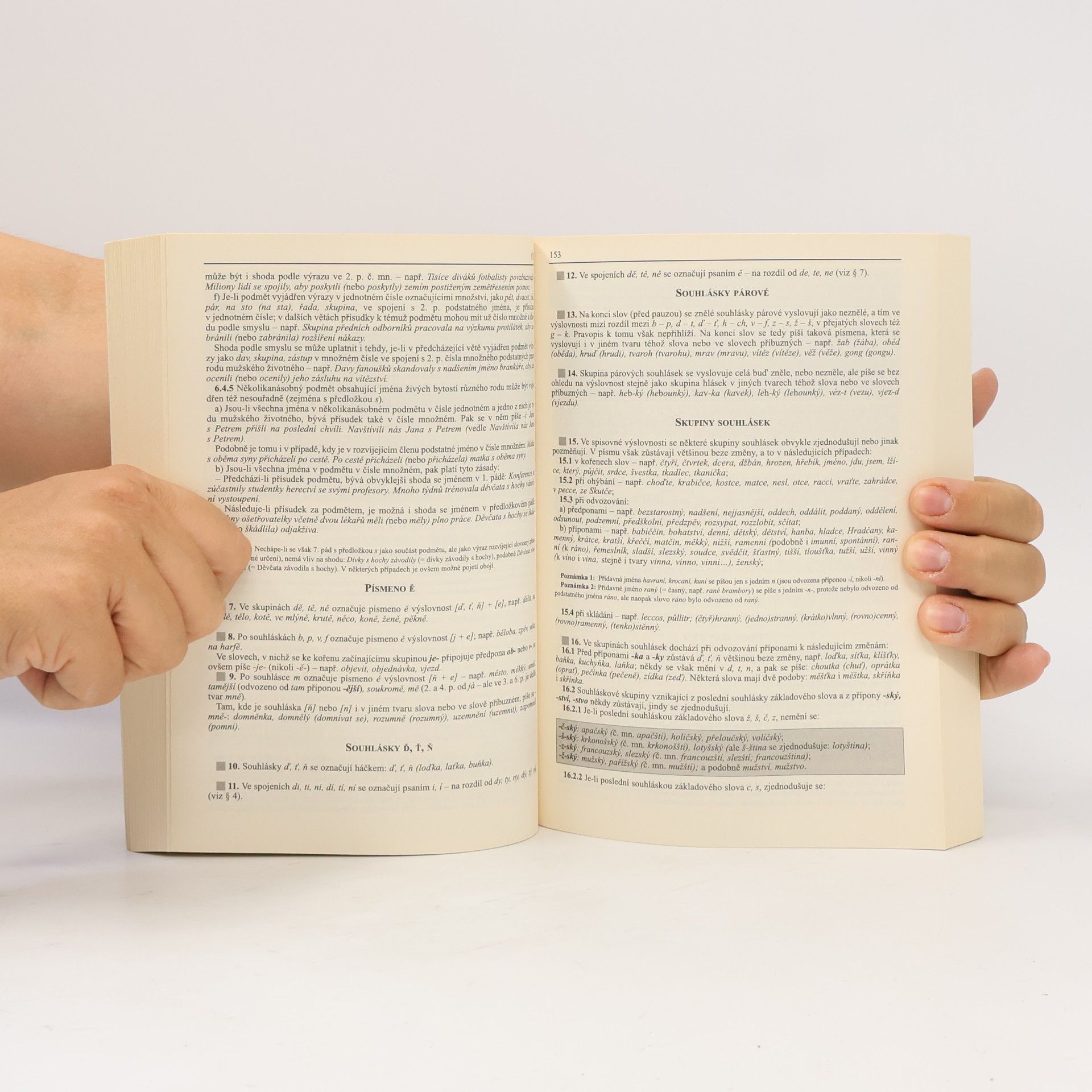 Autorenkollektiv Pravidla českého pravopisu do kapsy