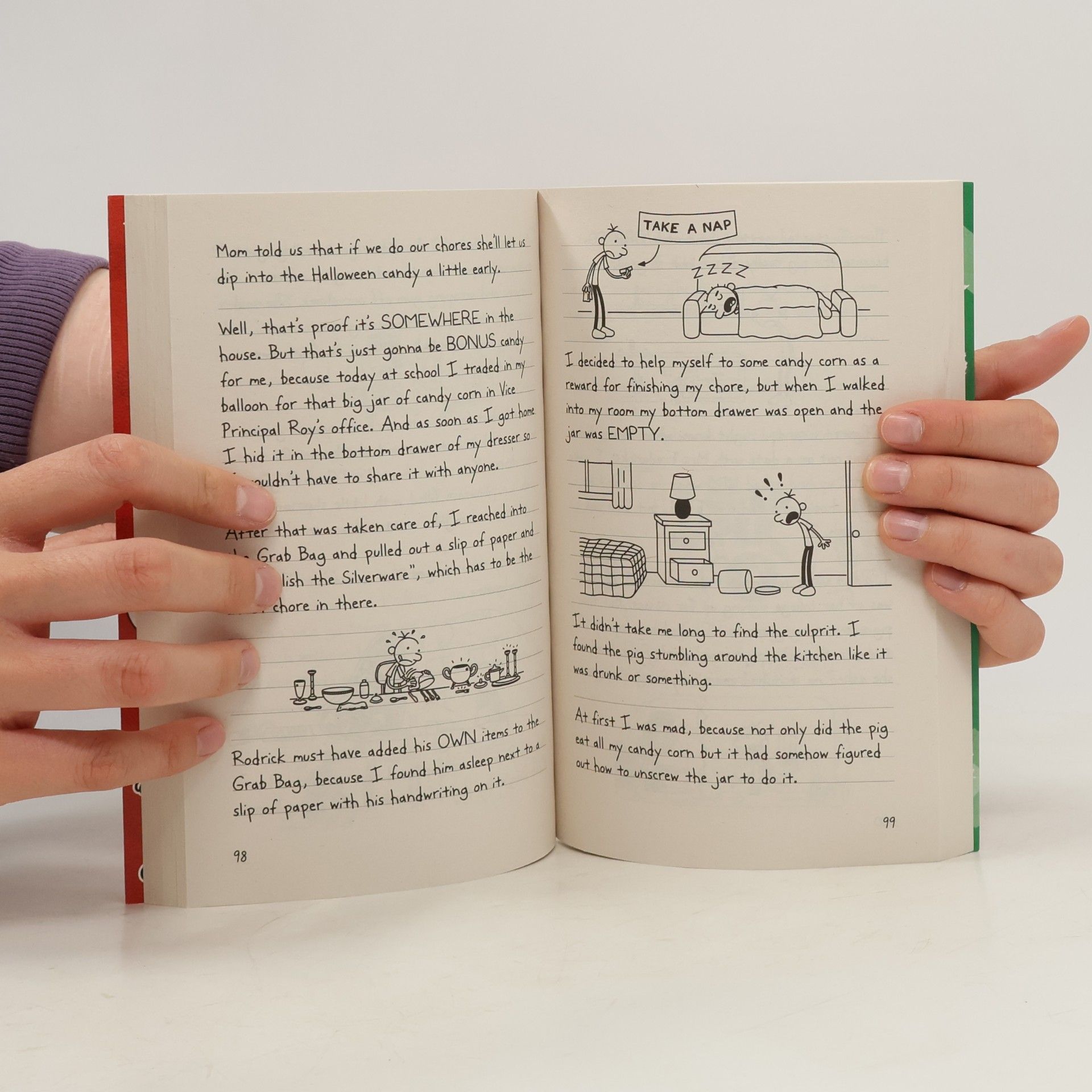 Jeff Kinney Diary of a Wimpy Kid. Double Down