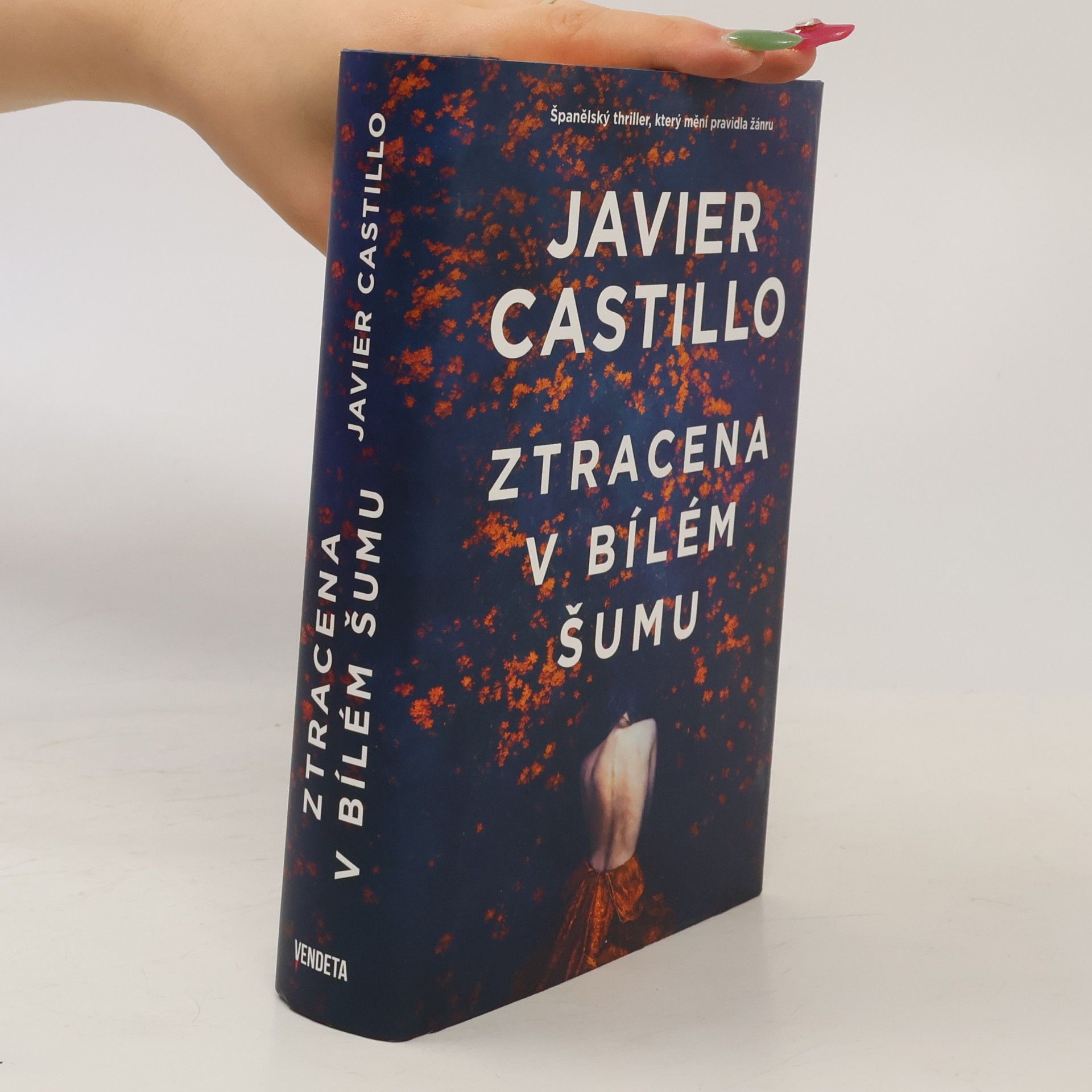 Javier Castillo Ztracena v bílém šumu