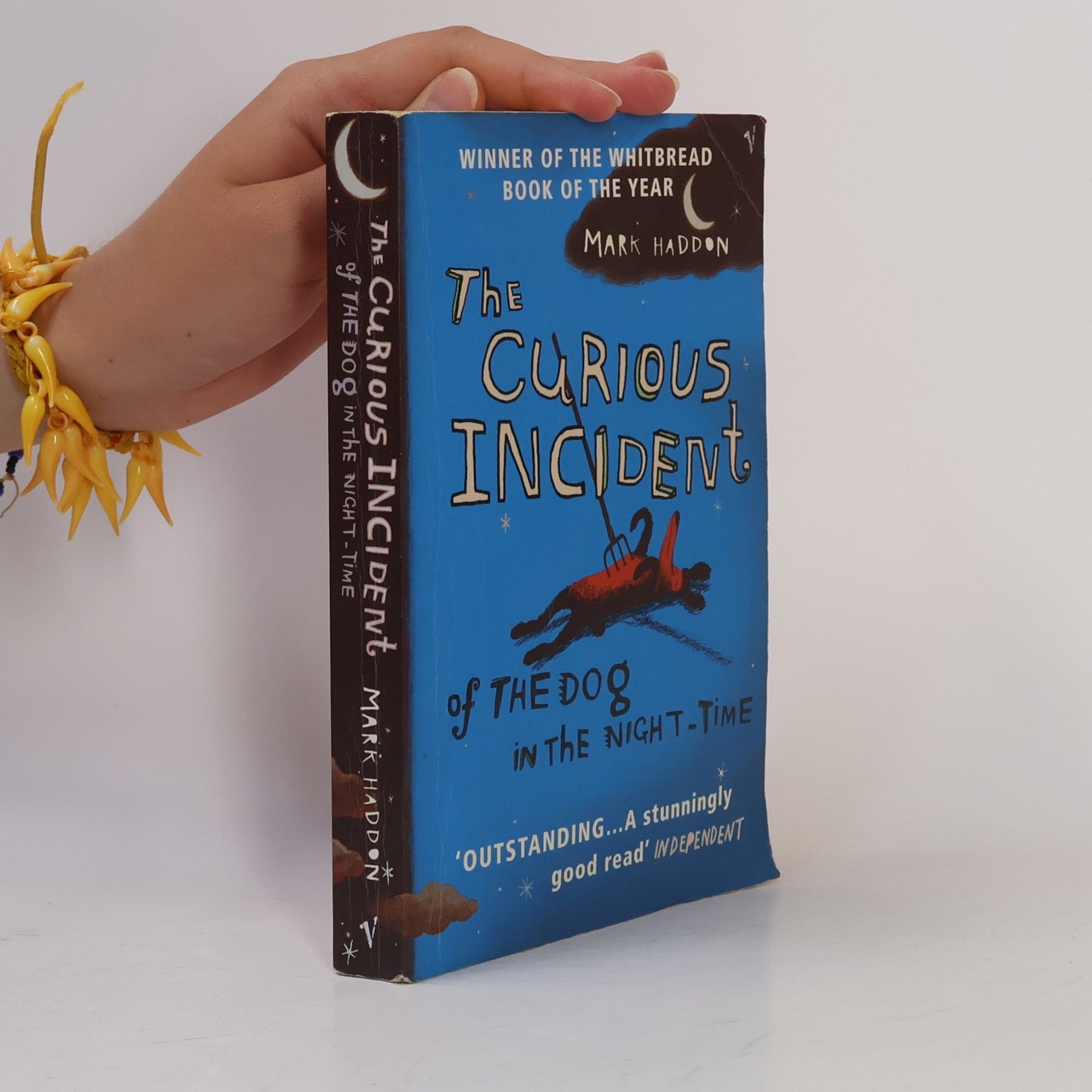 Mark Haddon The Curious Incident of the Dog in the Night-Time