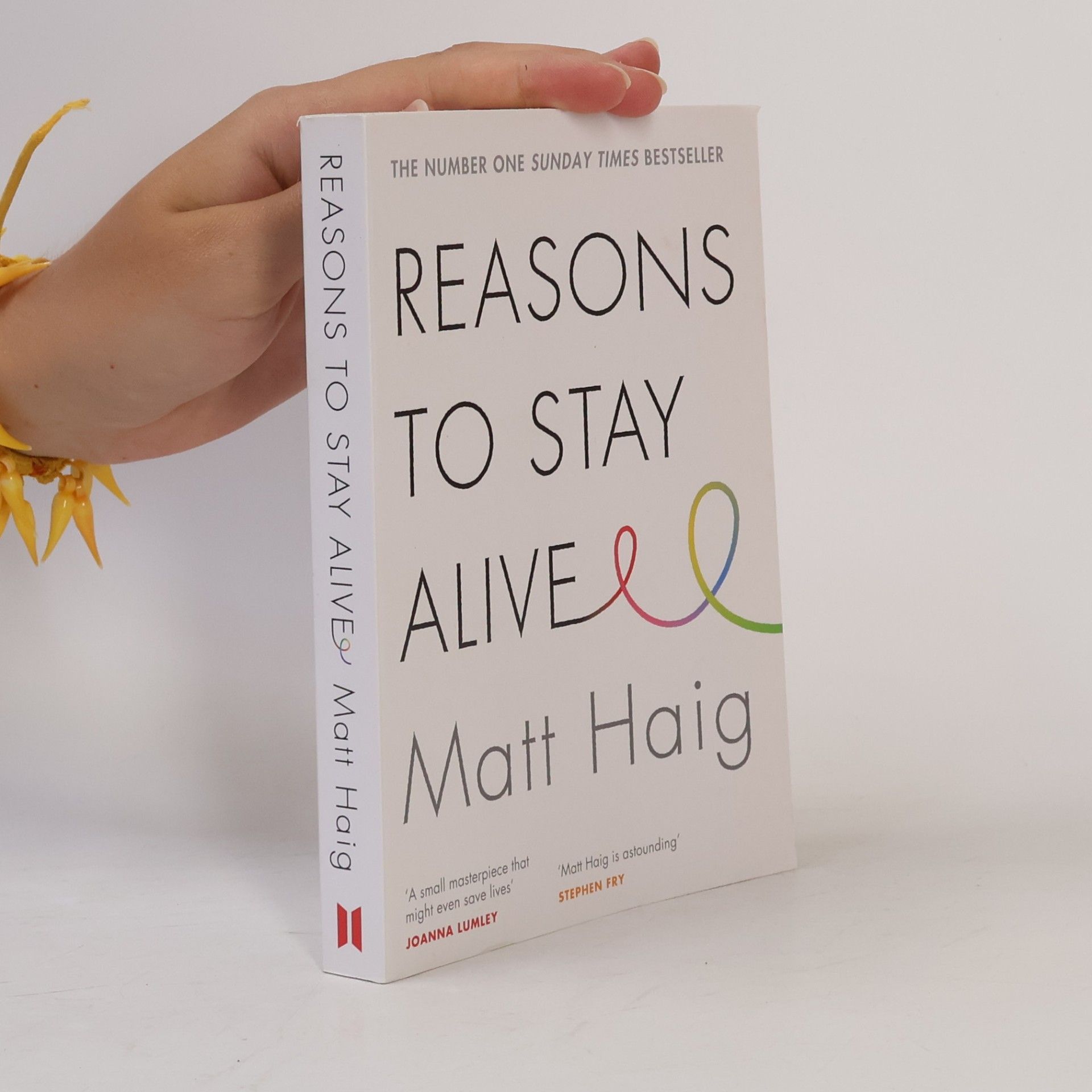 Matt Haig Reasons to stay alive