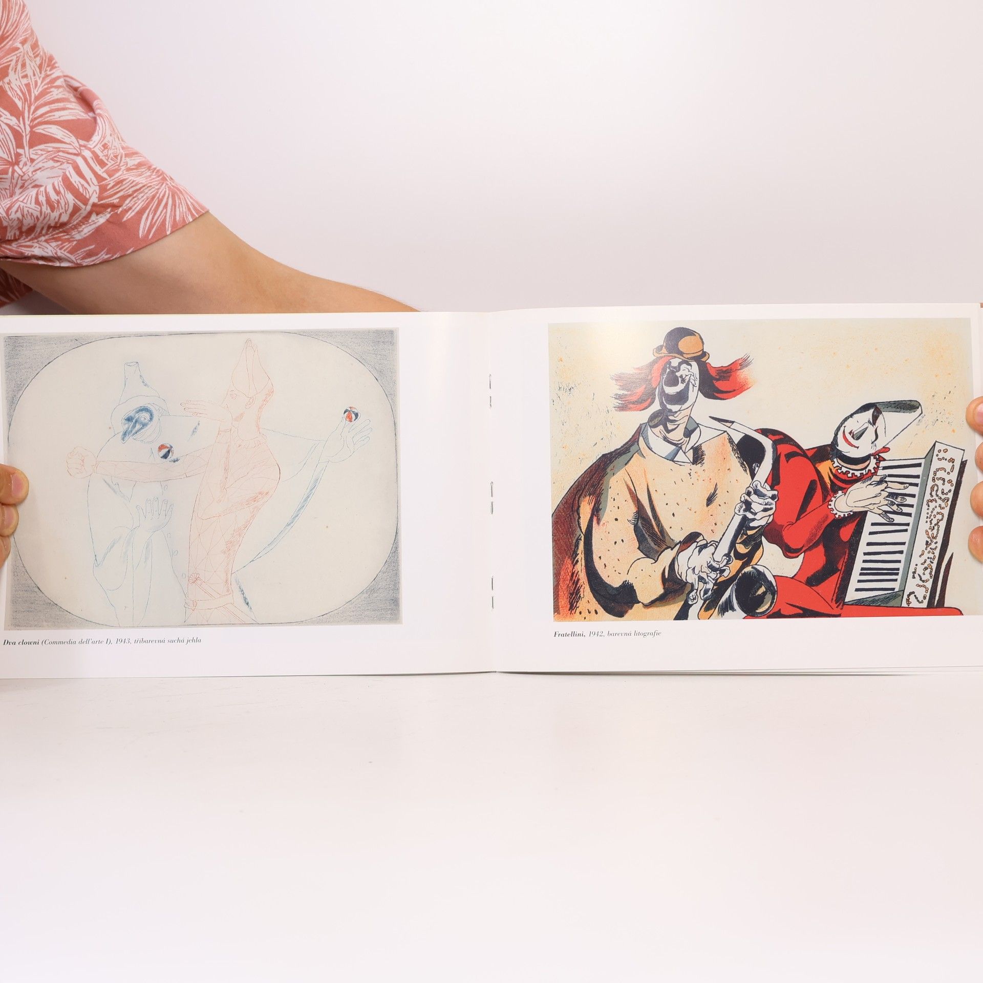 František Tichý František Tichý ve sbírkách Galerie moderního umění v Hradci Králové