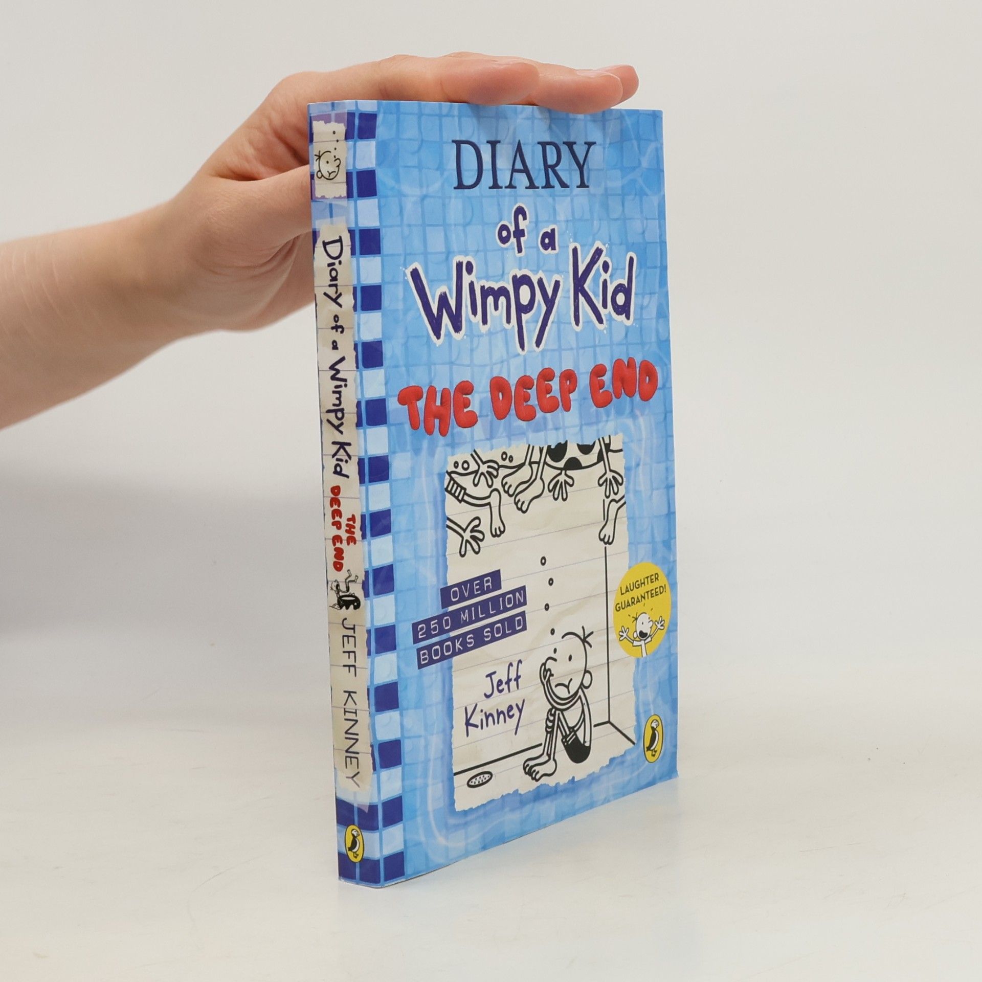 Jeff Kinney Diary of a Wimpy Kid 15: The Deep End