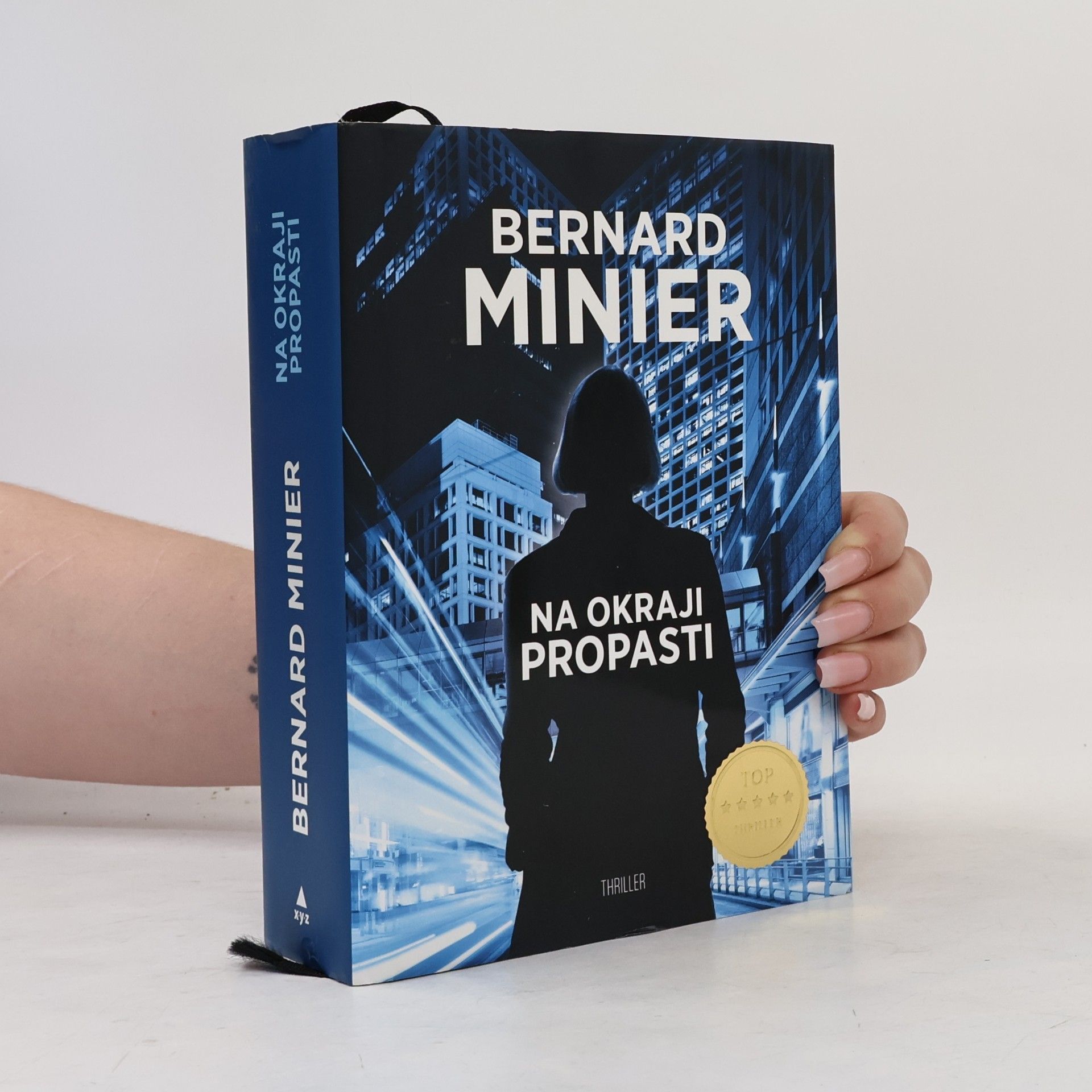 Bernard Minier Na okraji propasti