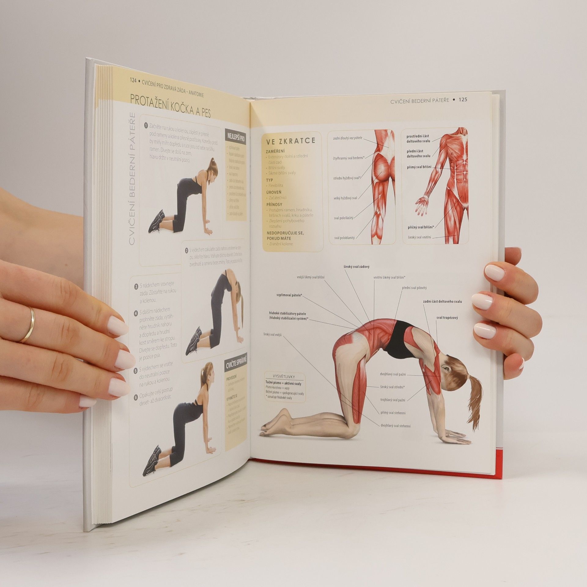Philip Striano Cvičení pro zdravá záda - anatomie