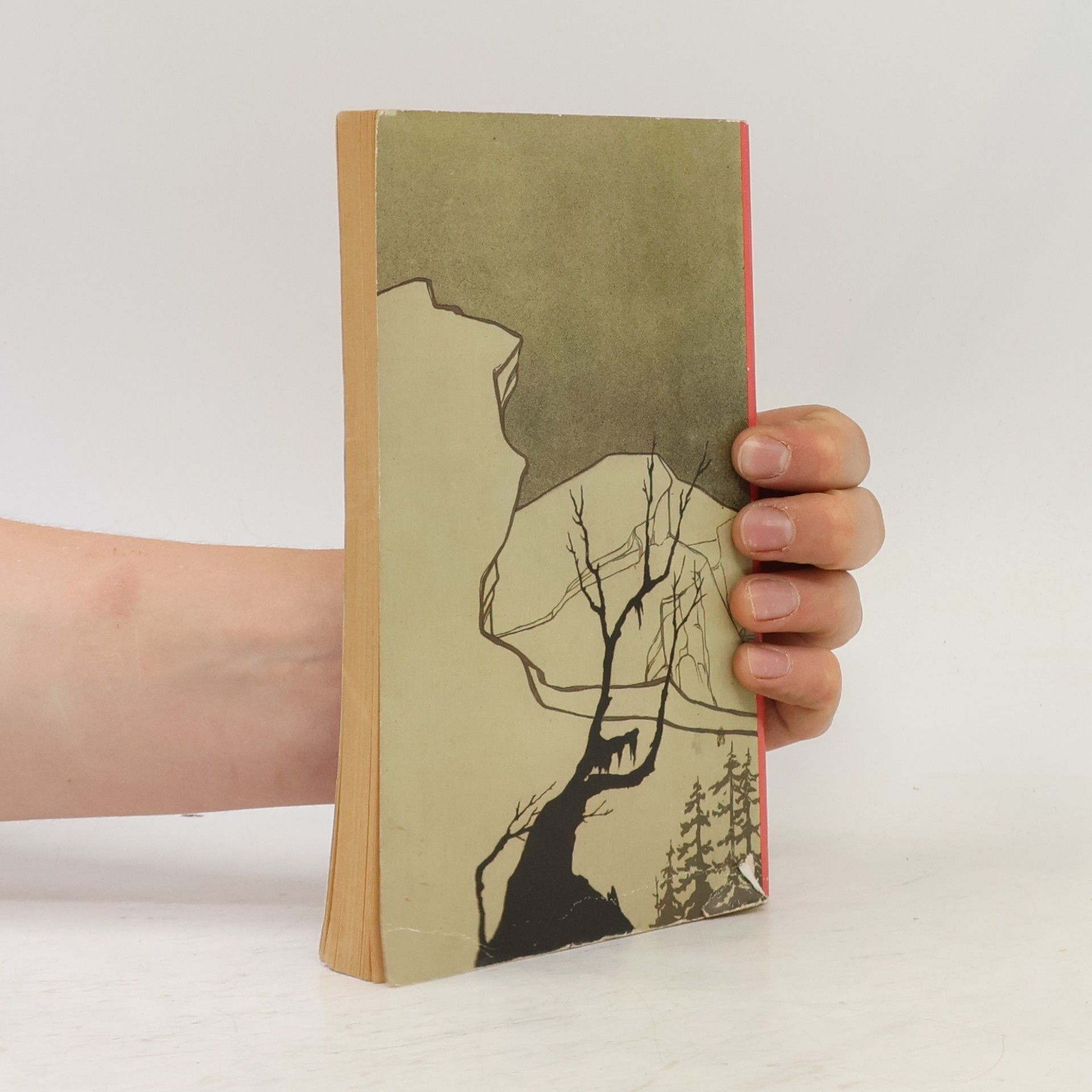 Robert Musil Drei Frauen