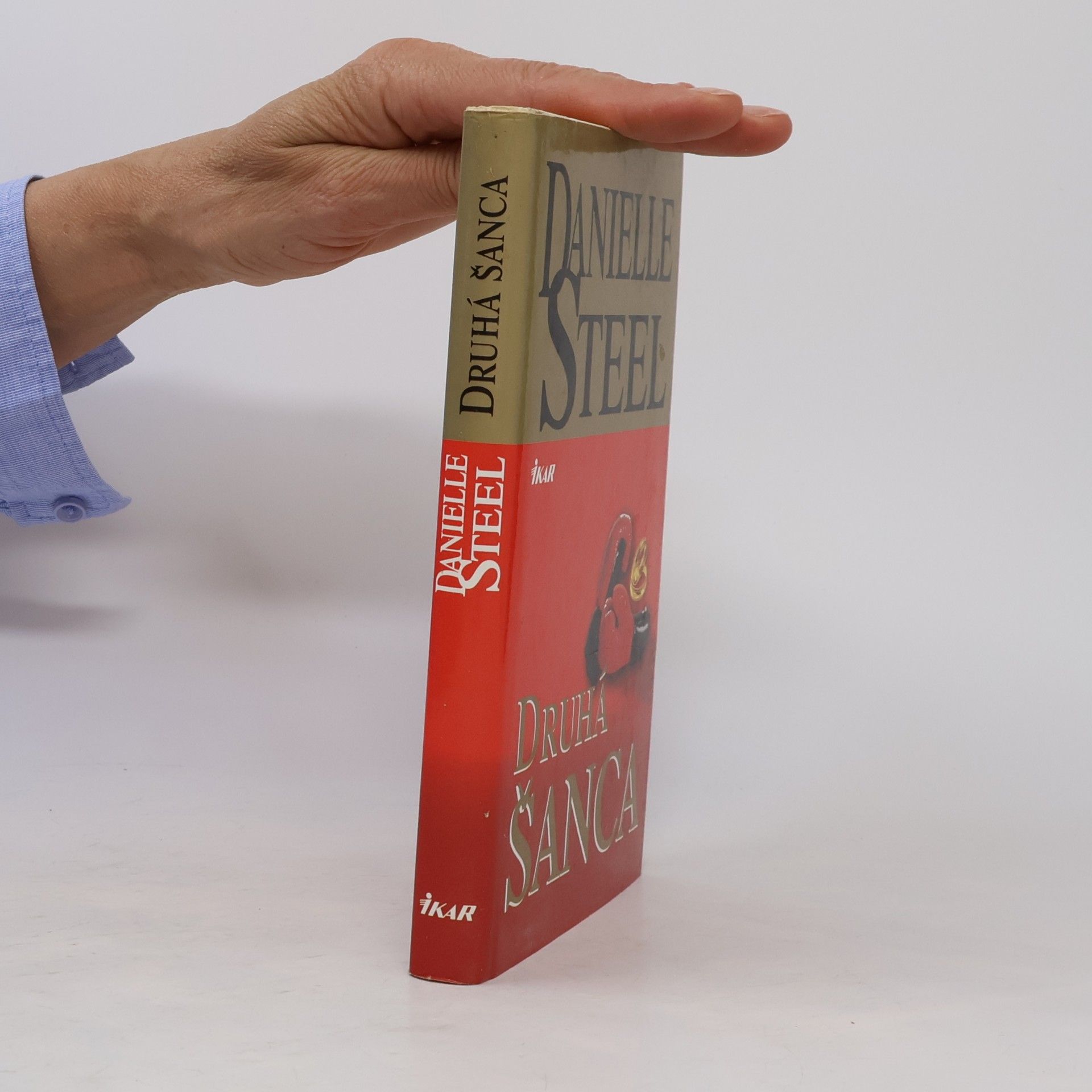 Danielle Steel Druhá šanca