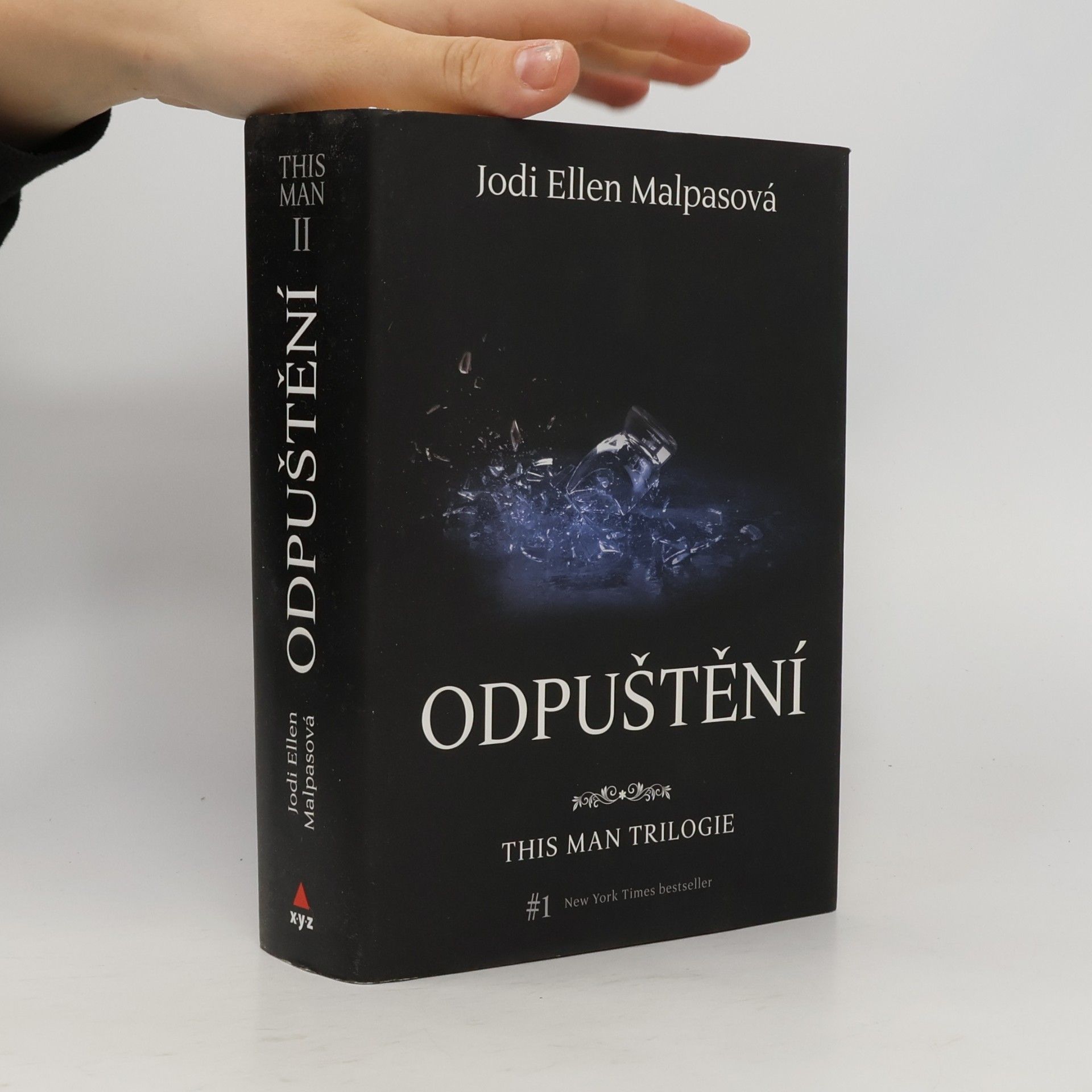 Jodi Ellen Malpas This man trilogie : Odpuštění